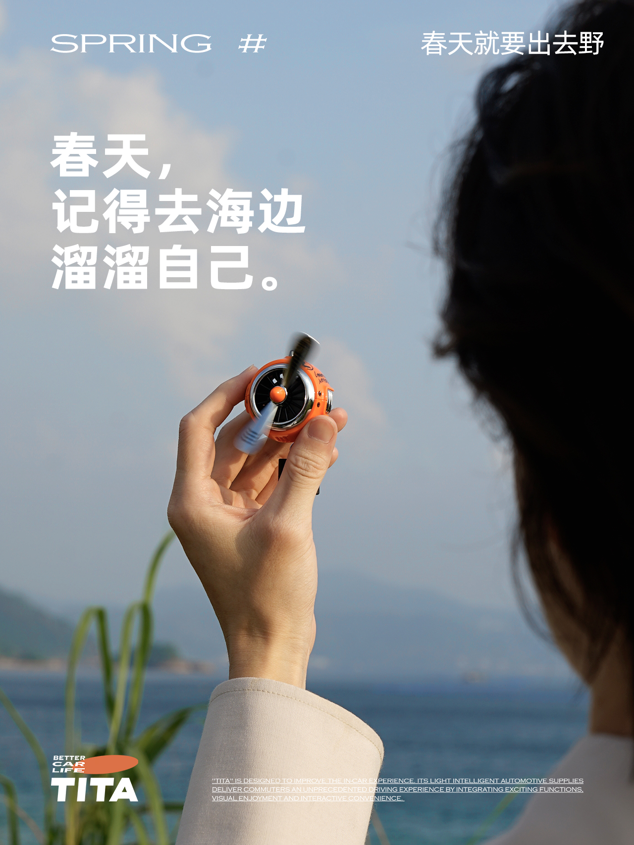 brand，TITA，Tesla，Car products，poster，