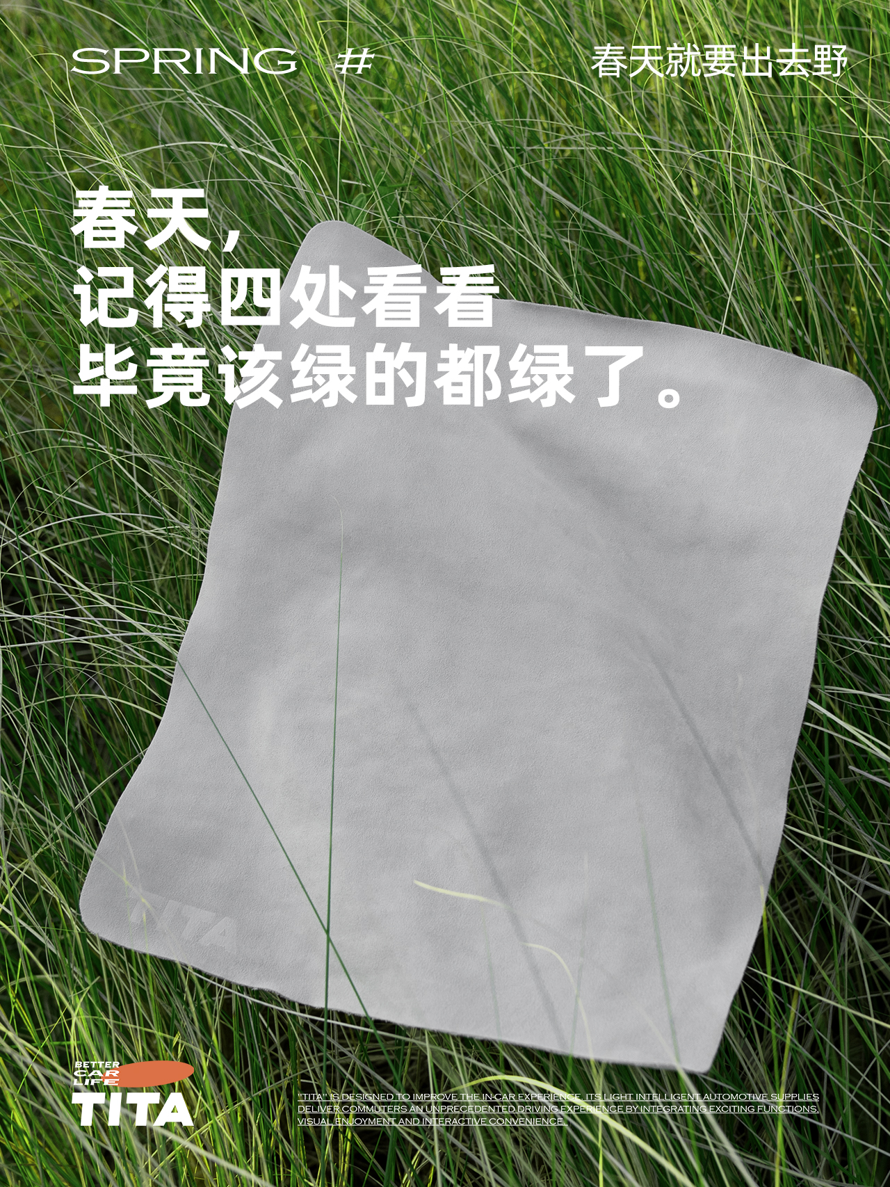 brand，TITA，Tesla，Car products，poster，