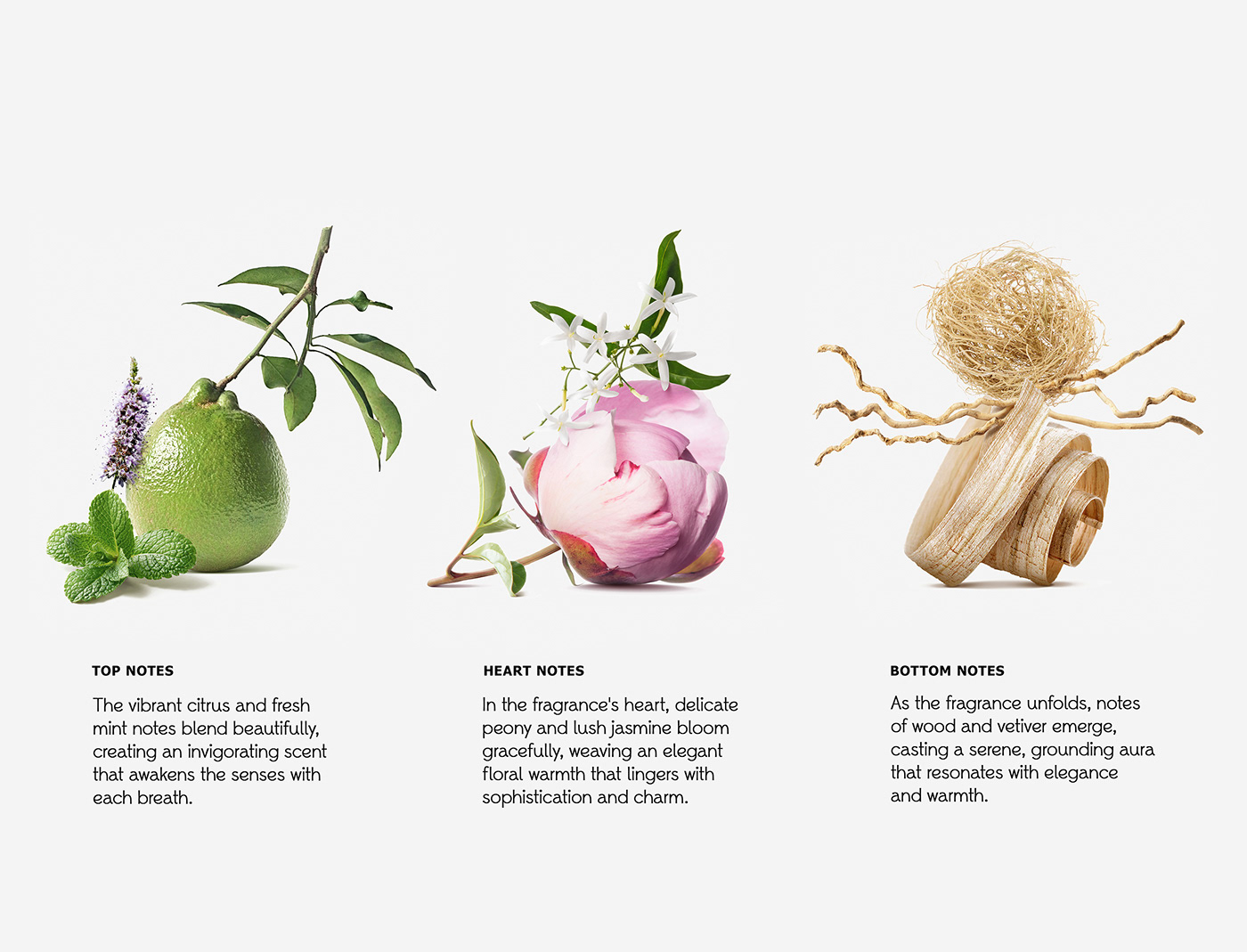 Perfume，Fragrance，Hot Air Balloon，Metal，Luxury and Elegant，