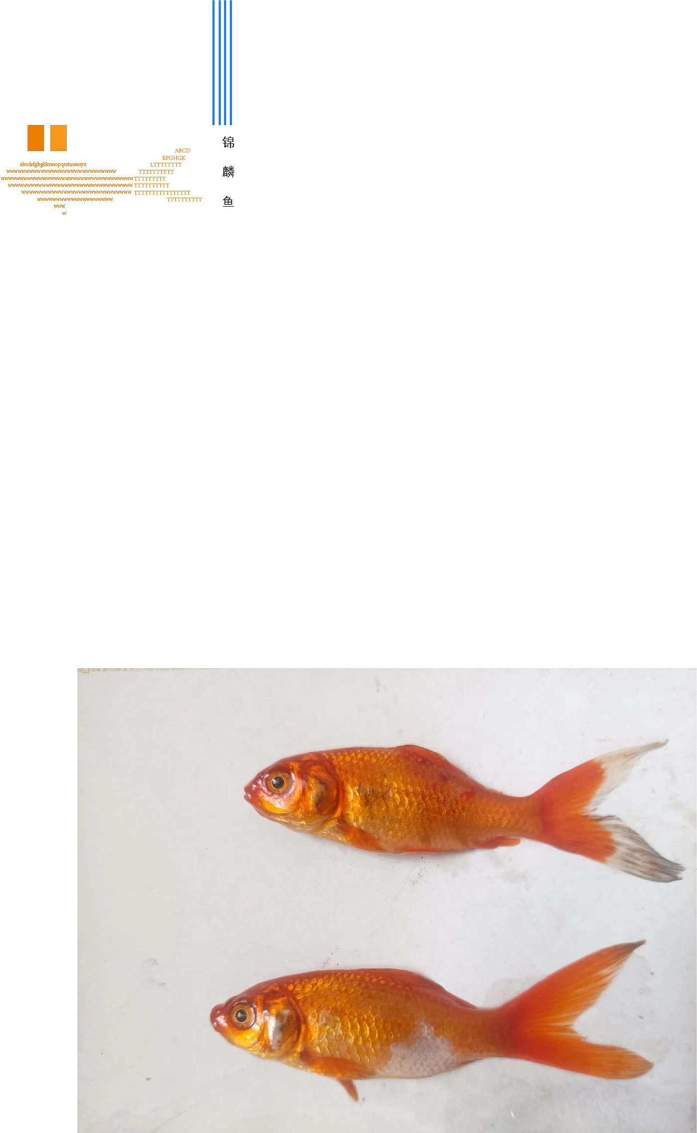 Landscape fish，