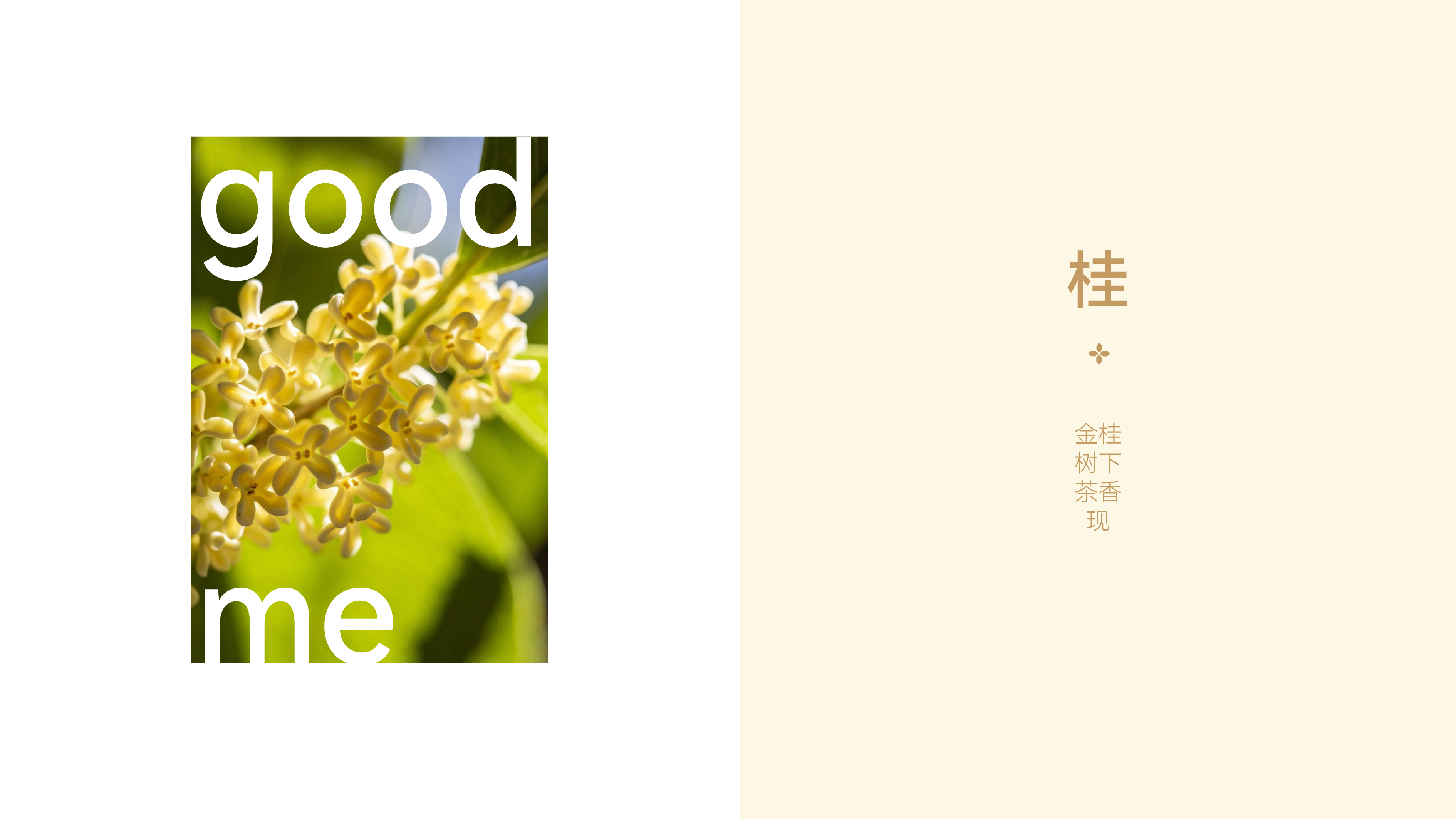 Brand vision，Gu Ming Milk Tea Cup，Paper Cup Design，plane，Illustration，Tea Brand Material Design，Tea Brand Upgrade，Brand design，