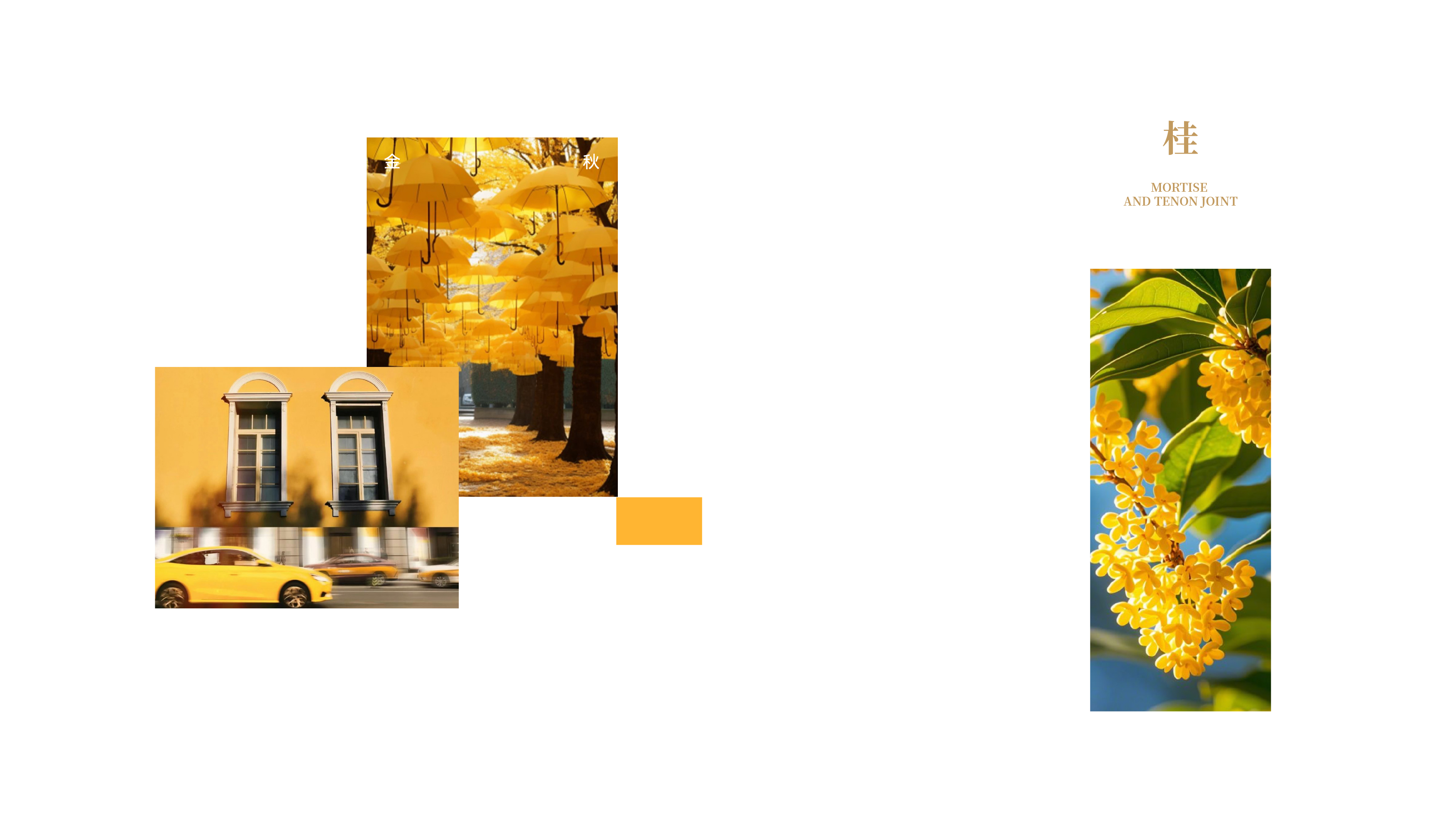 Brand vision，Gu Ming Milk Tea Cup，Paper Cup Design，plane，Illustration，Tea Brand Material Design，Tea Brand Upgrade，Brand design，