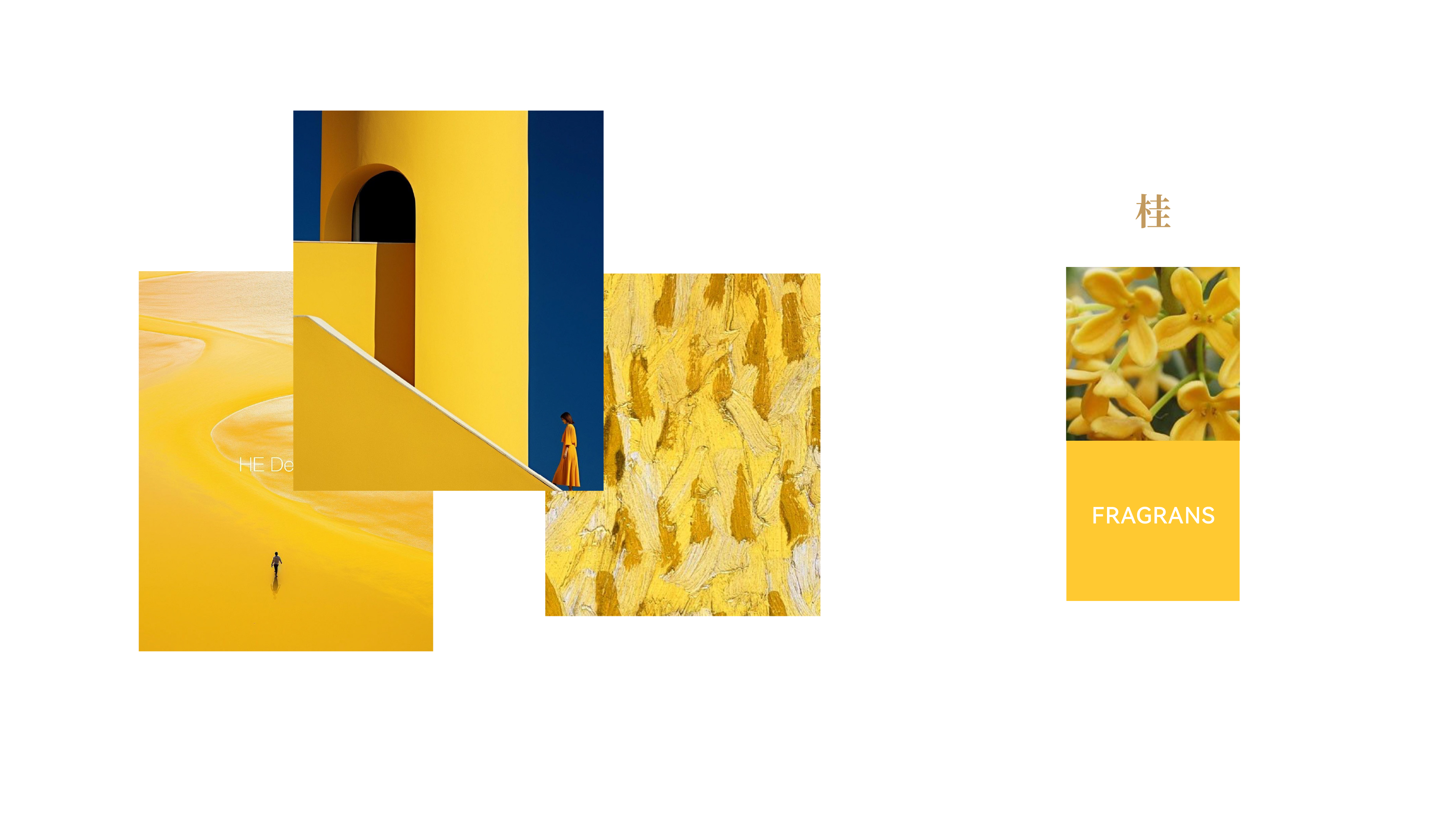 Brand vision，Gu Ming Milk Tea Cup，Paper Cup Design，plane，Illustration，Tea Brand Material Design，Tea Brand Upgrade，Brand design，