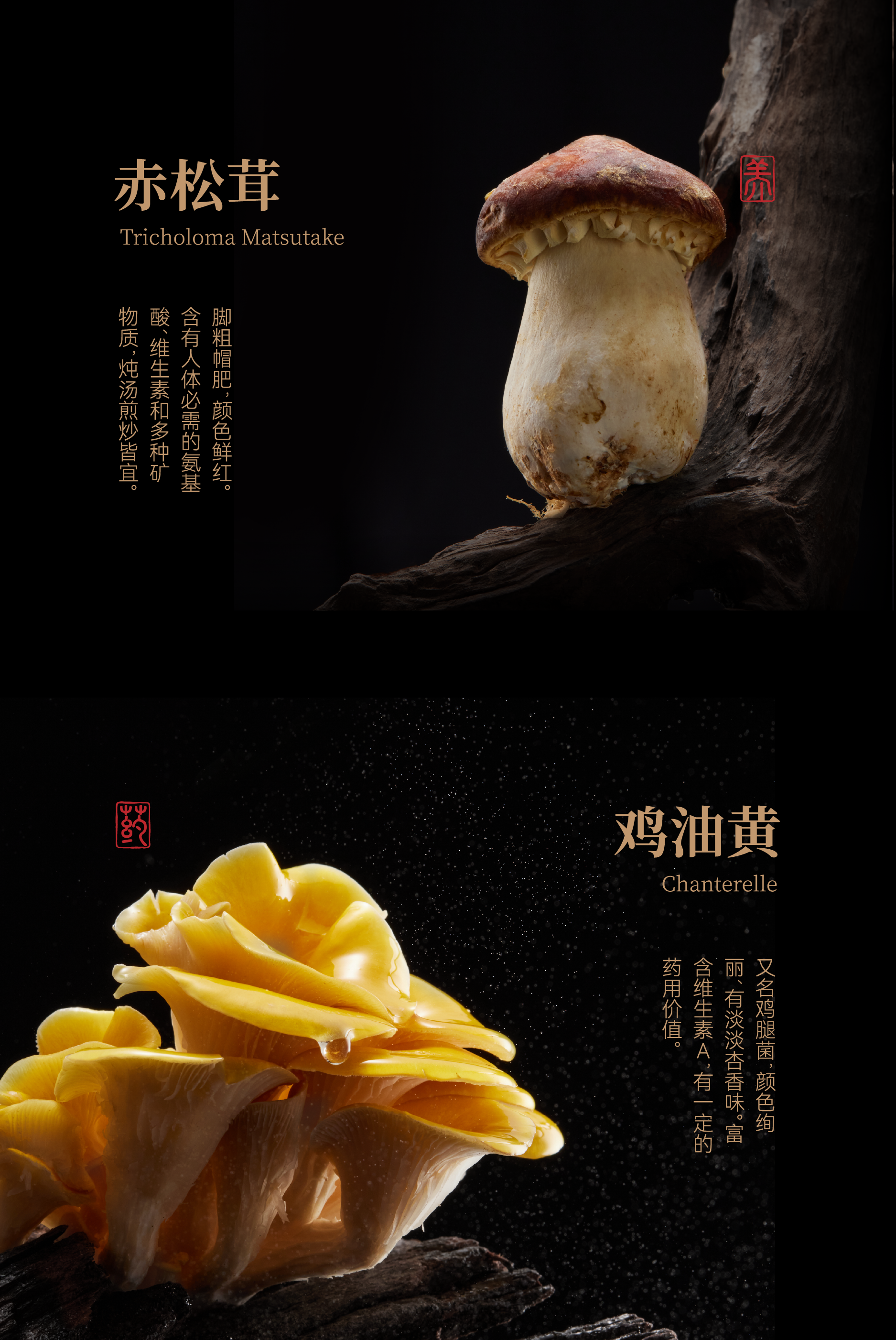 Red design，packing design，Red design，Original works，Brand design，Yunnan rice noodle，