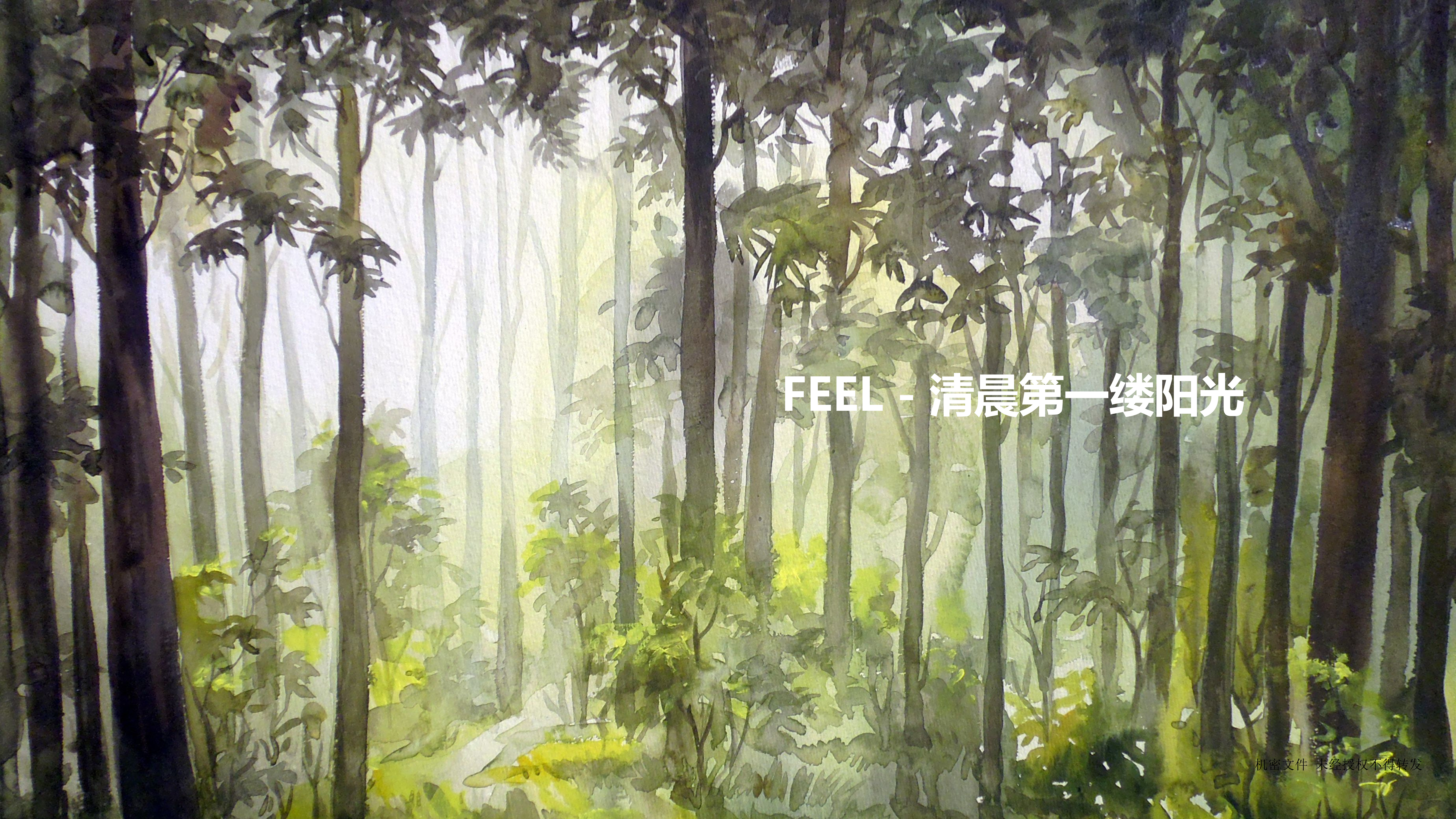 Household appliances，Electric toothbrush，Oral care，small home appliances，