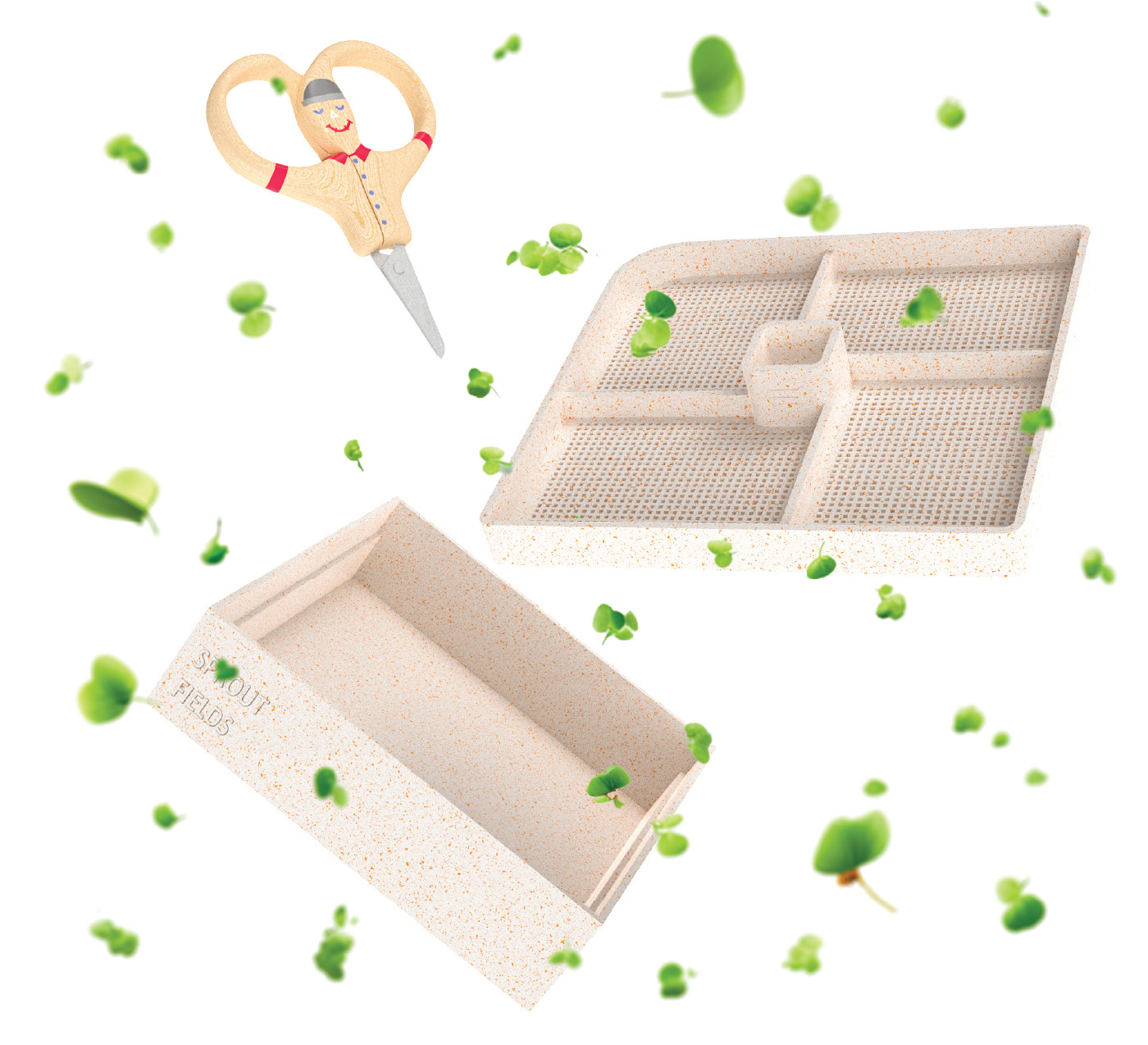 plant，Minimalism，Mini Gardening，sprouts，scarecrow，