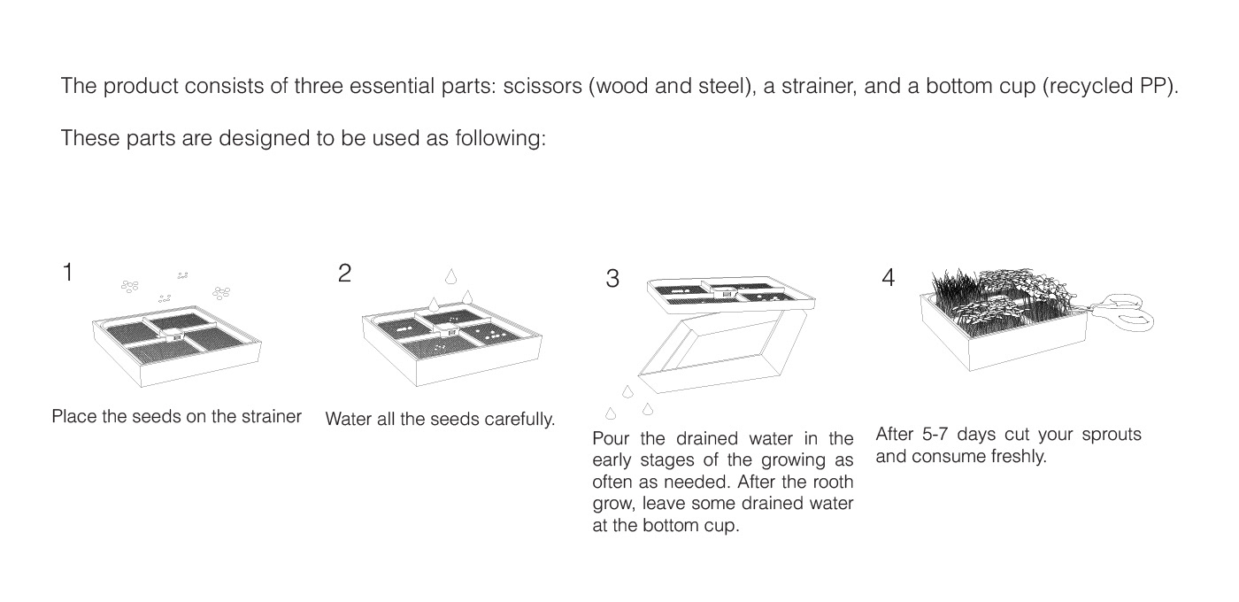 plant，Minimalism，Mini Gardening，sprouts，scarecrow，