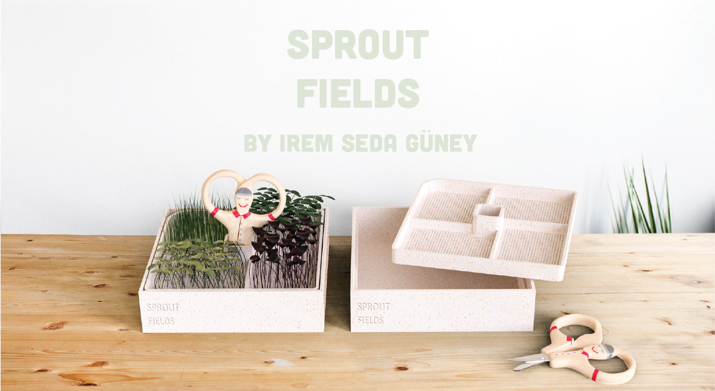 plant，Minimalism，Mini Gardening，sprouts，scarecrow，