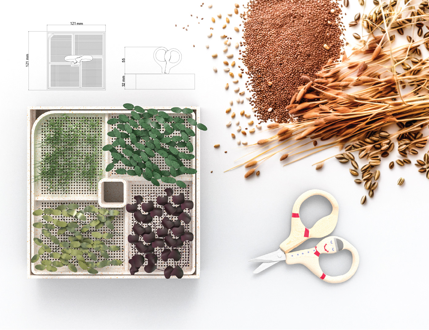 plant，Minimalism，Mini Gardening，sprouts，scarecrow，