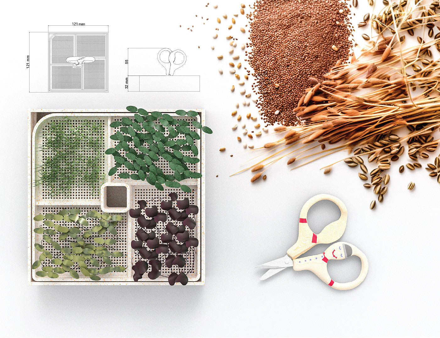 plant，Minimalism，Mini Gardening，sprouts，scarecrow，