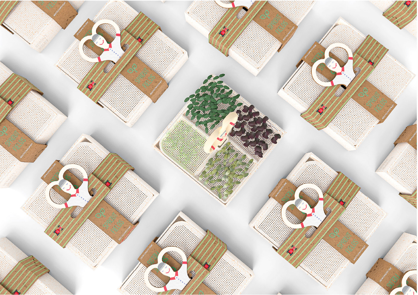 plant，Minimalism，Mini Gardening，sprouts，scarecrow，