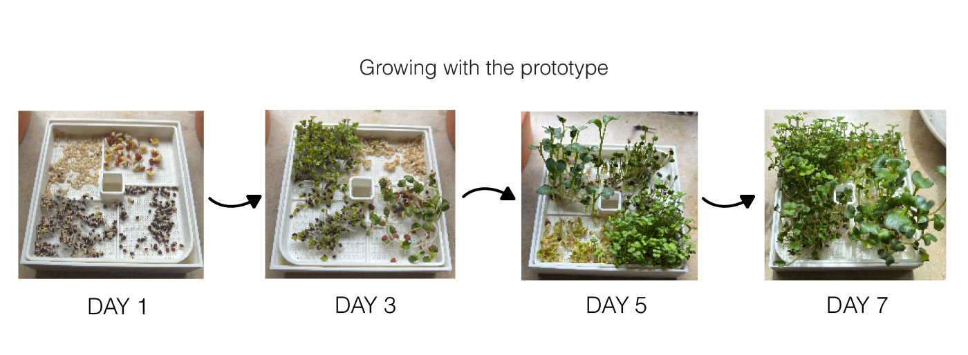 plant，Minimalism，Mini Gardening，sprouts，scarecrow，