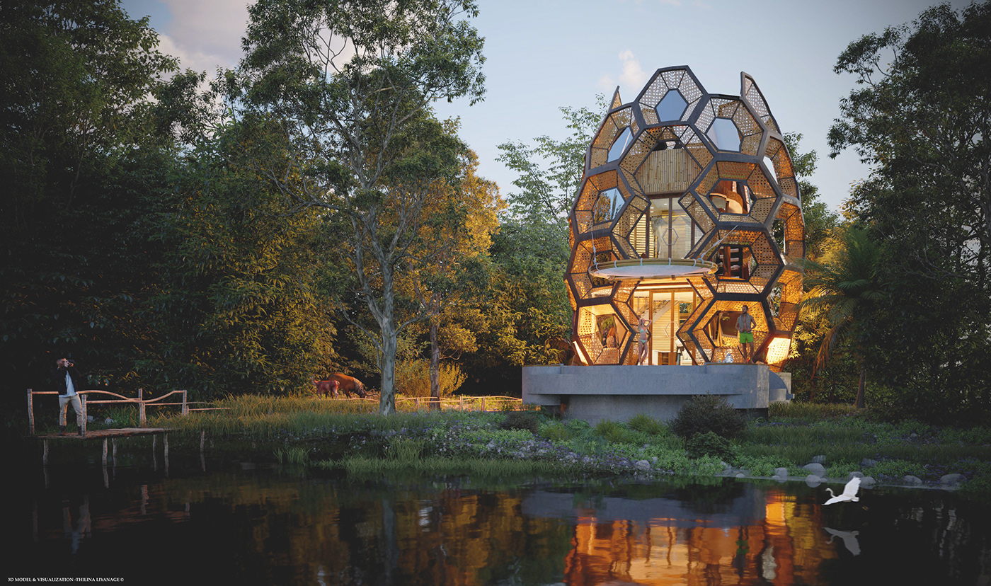 Honey Comb，hive，hexagon，Holiday Place，