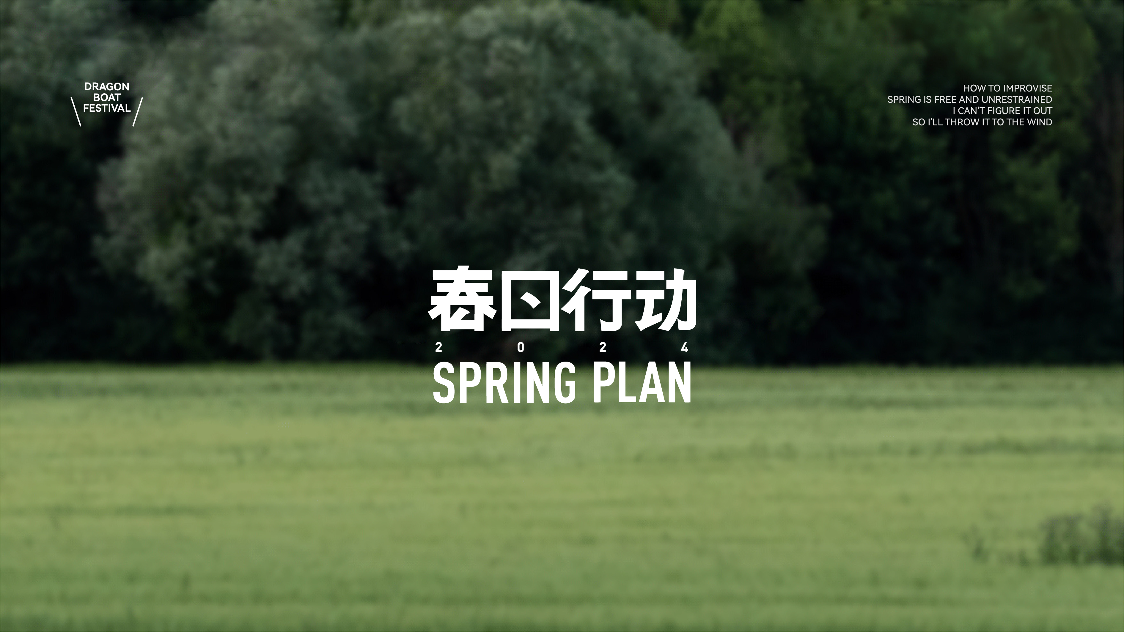 Creative packaging，plane，Dragon Boat Festival gift box，Brand vision，Brand design，Creative packaging，Font design，plane，Illustration，Original design，Dragon Boat Festival gift box，Brand vision，Brand design，Font design，Illustration，Original design，