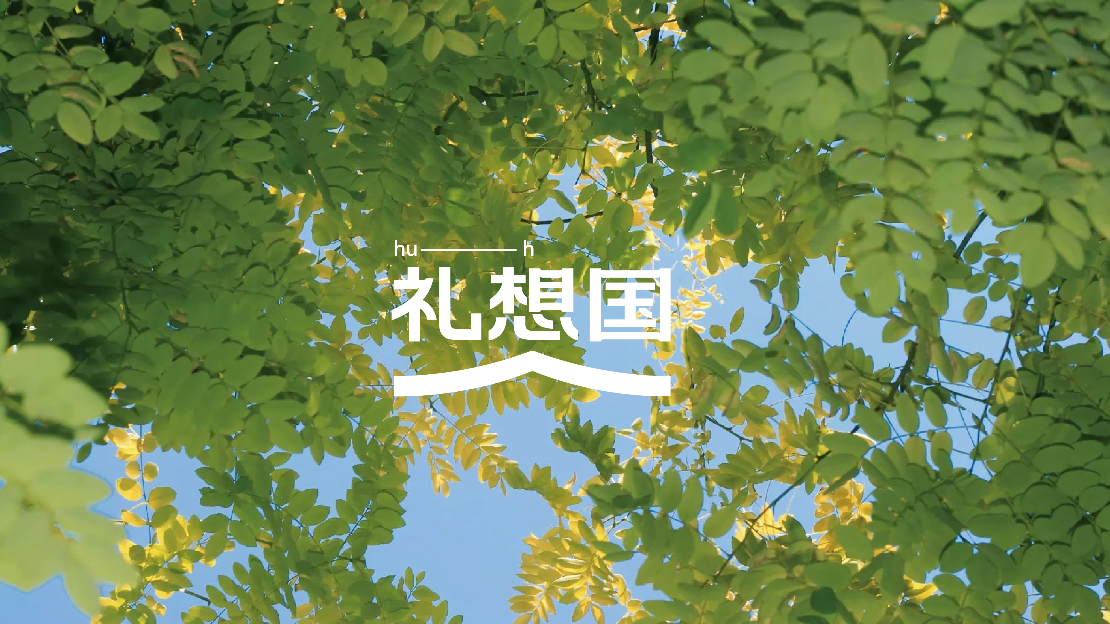 Creative packaging，plane，Dragon Boat Festival gift box，Brand vision，Brand design，Creative packaging，Font design，plane，Illustration，Original design，Dragon Boat Festival gift box，Brand vision，Brand design，Font design，Illustration，Original design，