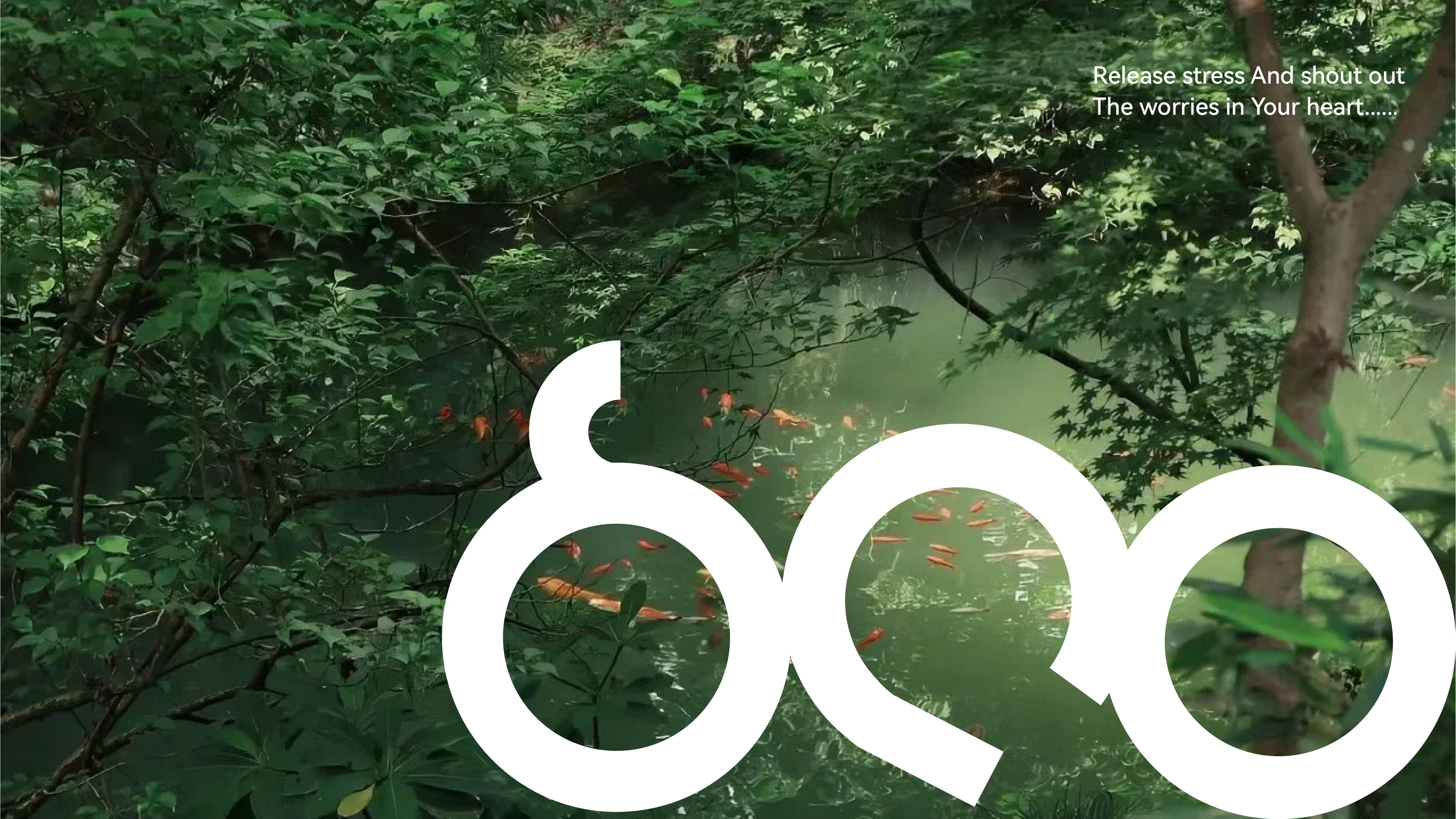 Creative packaging，plane，Dragon Boat Festival gift box，Brand vision，Brand design，Creative packaging，Font design，plane，Illustration，Original design，Dragon Boat Festival gift box，Brand vision，Brand design，Font design，Illustration，Original design，