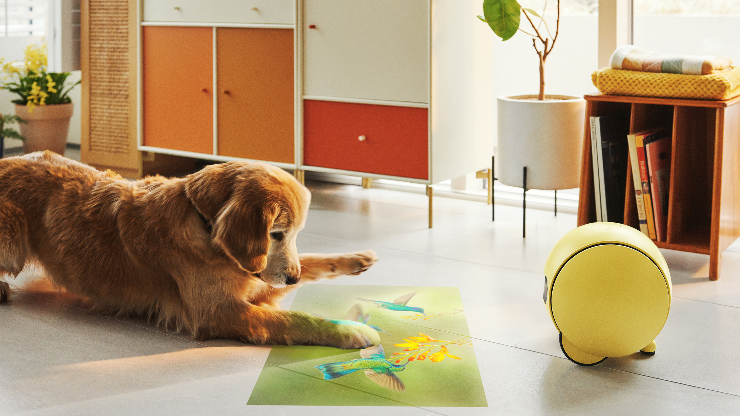 If Award，Red dot award，robot，industrial design，product design，Interaction design，