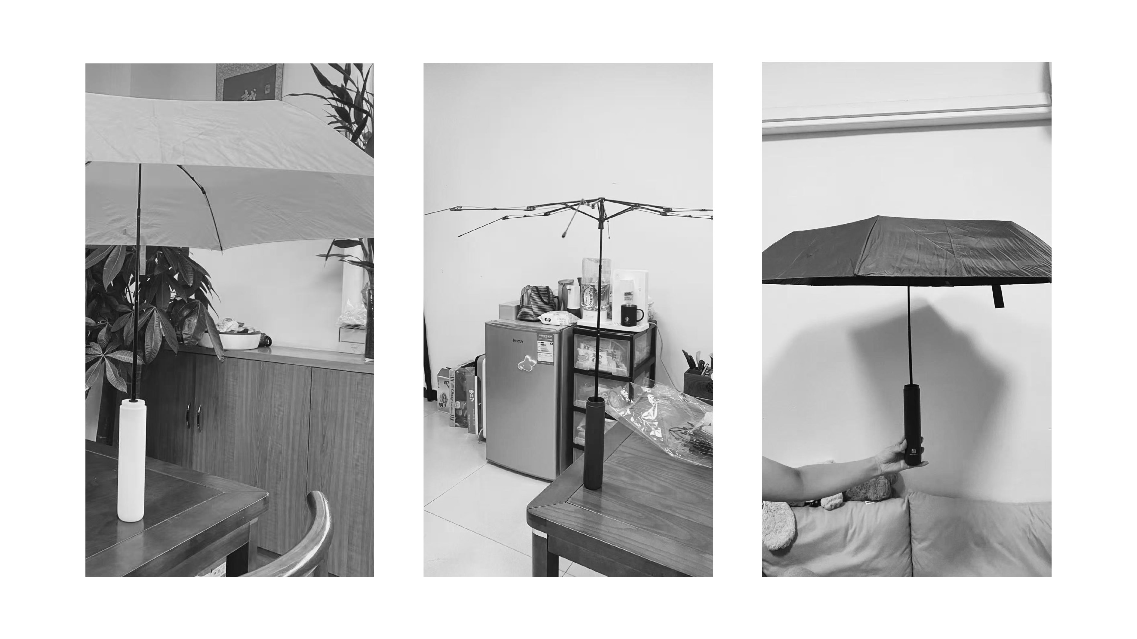 Creative design，Product animation，Fun Play Design，curiosity，