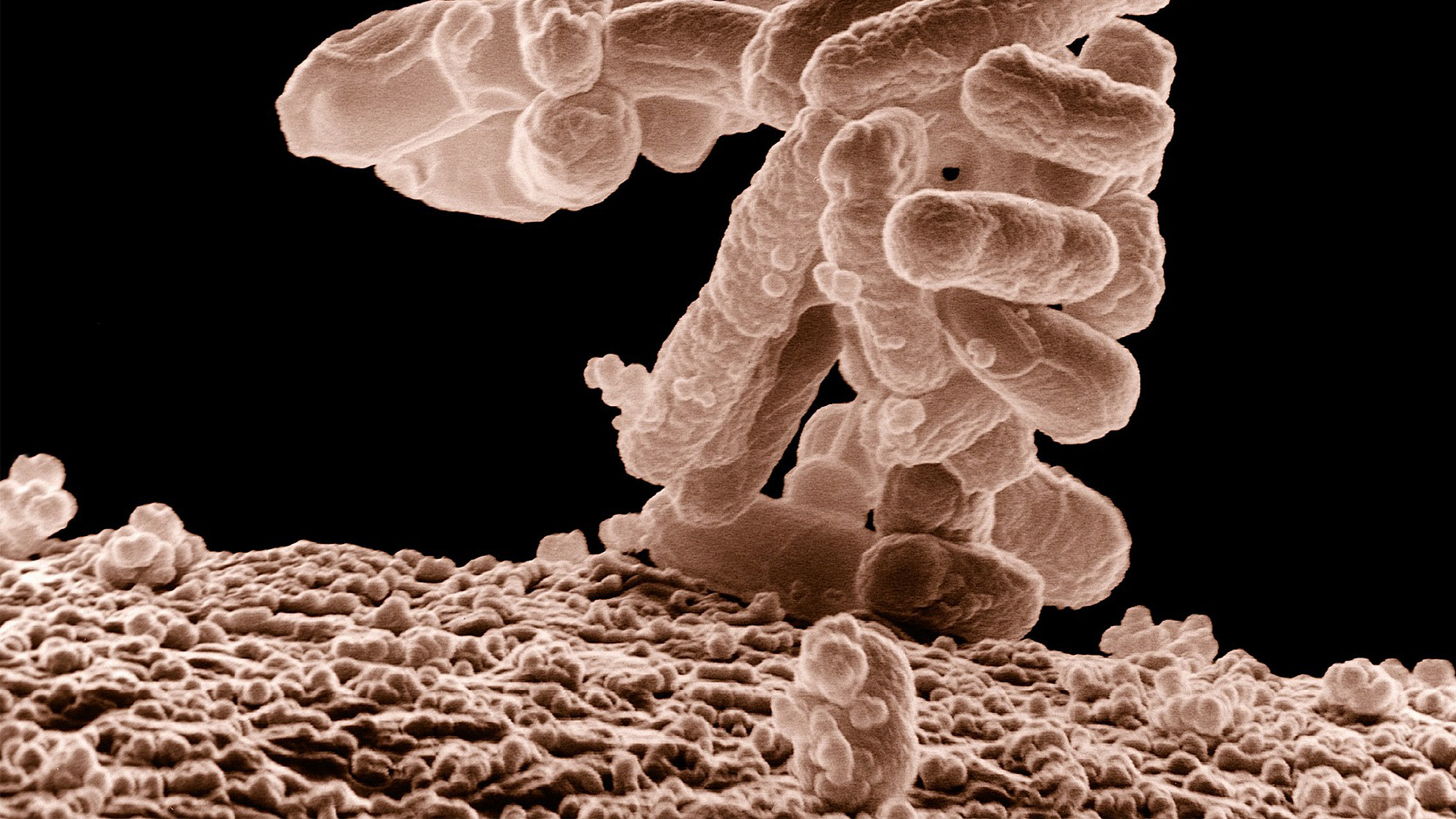 Tools and equipment，Office products，hold，