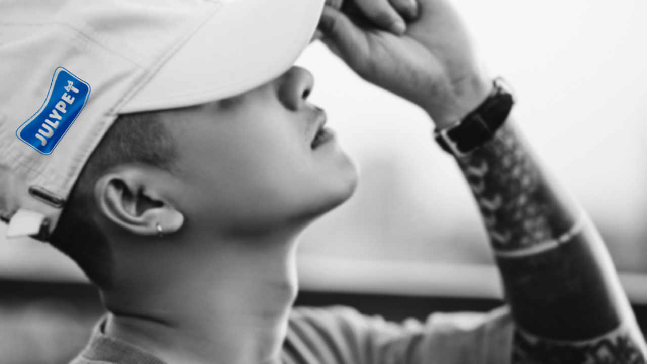 packing design，Pet products，Cat food，Logo design，online retailers，Product rendering，