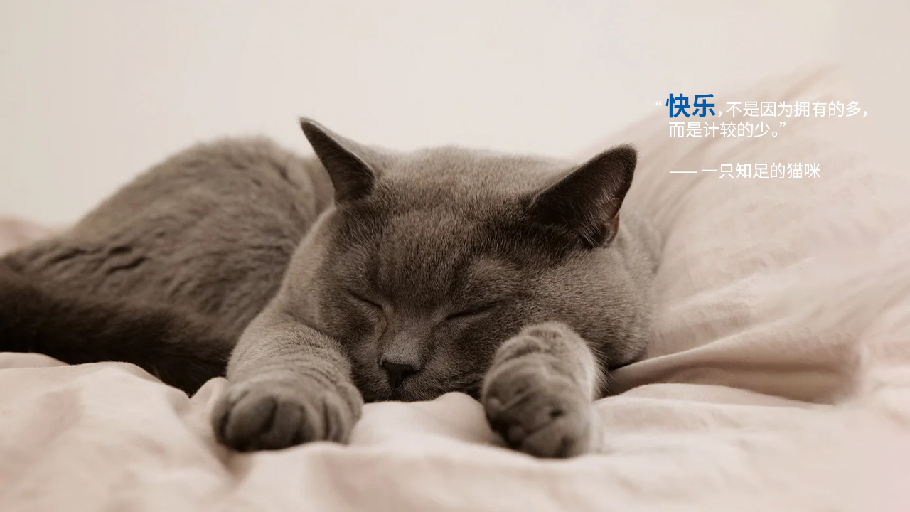 packing design，Pet products，Cat food，Logo design，online retailers，Product rendering，