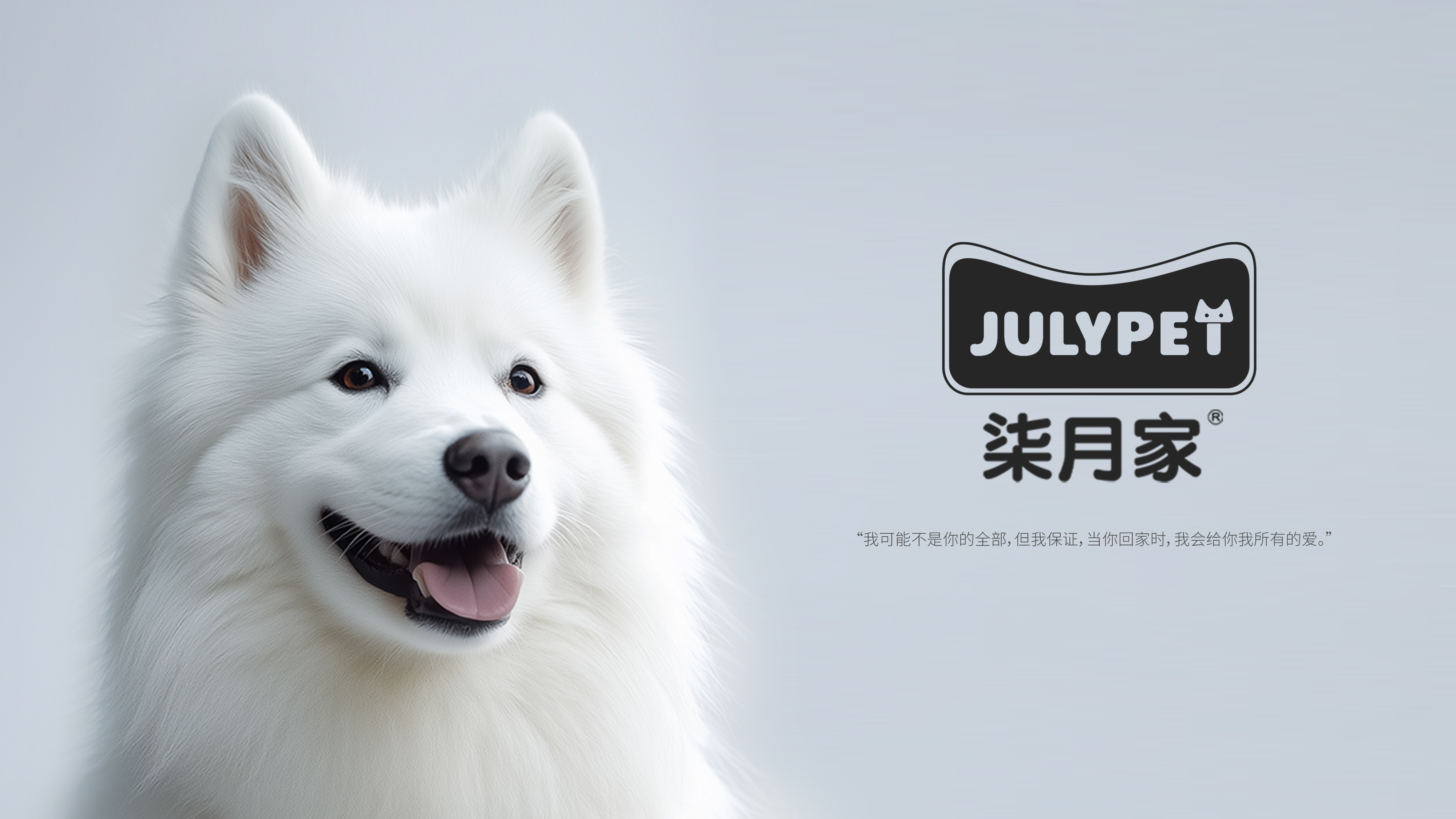 packing design，Pet products，Cat food，Logo design，online retailers，Product rendering，