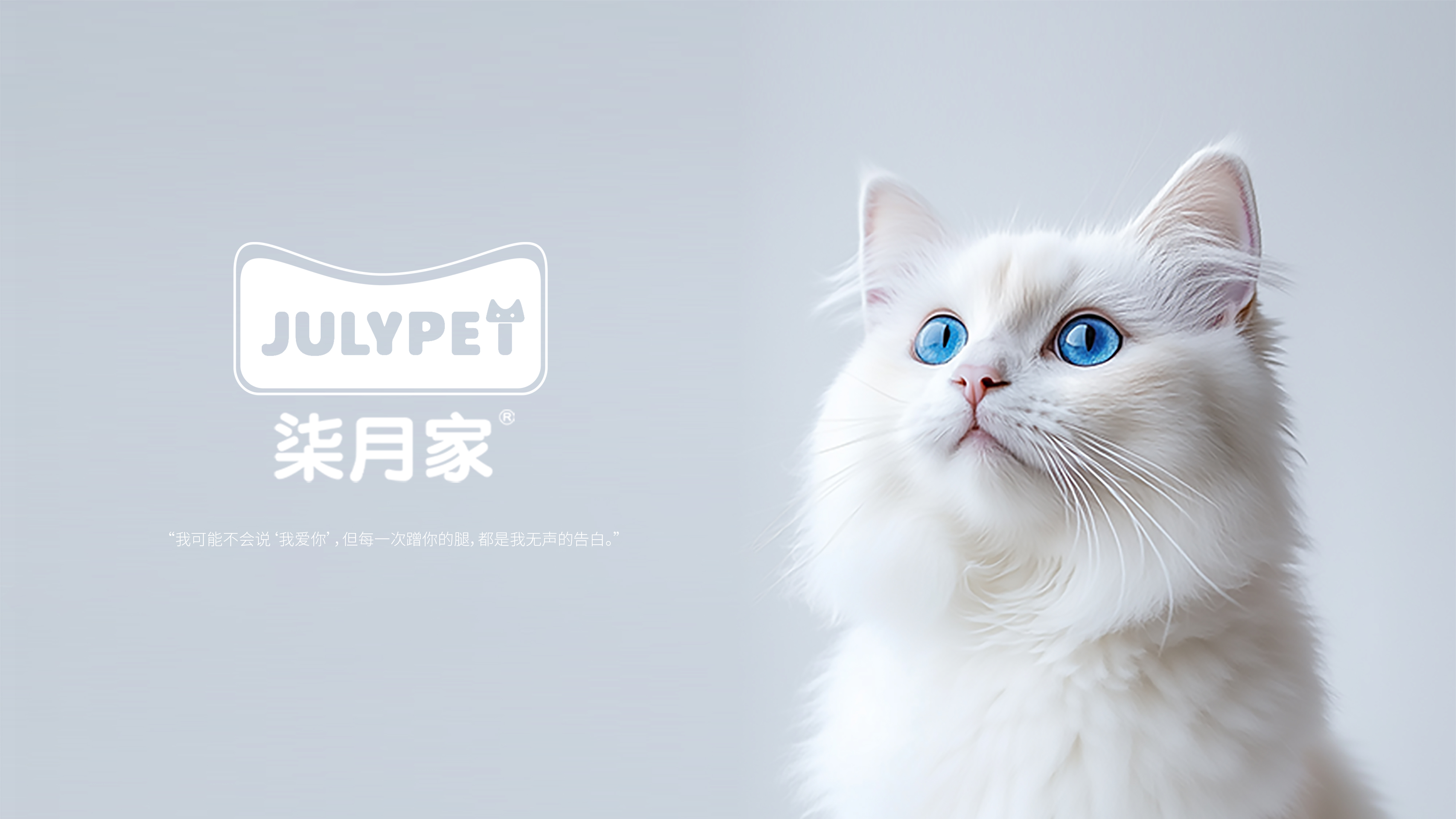 packing design，Pet products，Cat food，Logo design，online retailers，Product rendering，