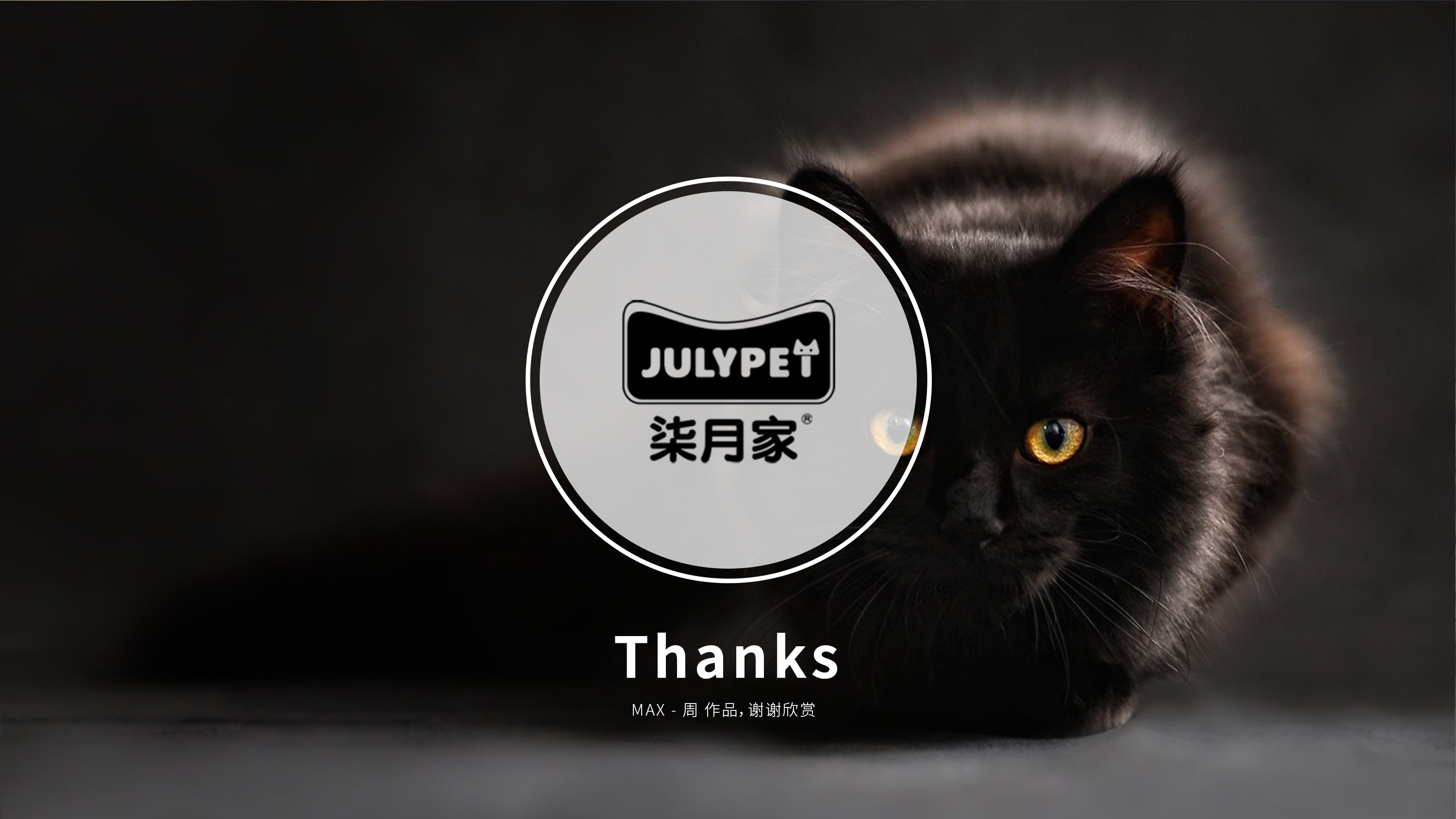 packing design，Pet products，Cat food，Logo design，online retailers，Product rendering，