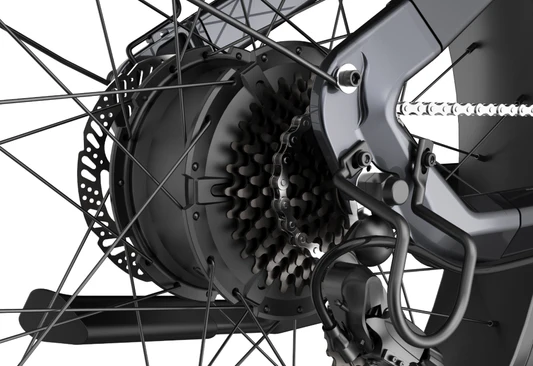 Models that have been mass-produced in those years 1，RHINO Dual Battery ebike# North American Fat Tire Continued，