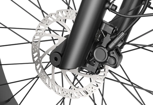 Models that have been mass-produced in those years 1，RHINO Dual Battery ebike# North American Fat Tire Continued，