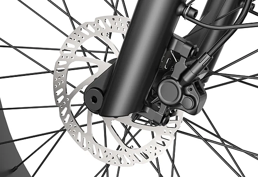 Models that have been mass-produced in those years 1，RHINO Dual Battery ebike# North American Fat Tire Continued，