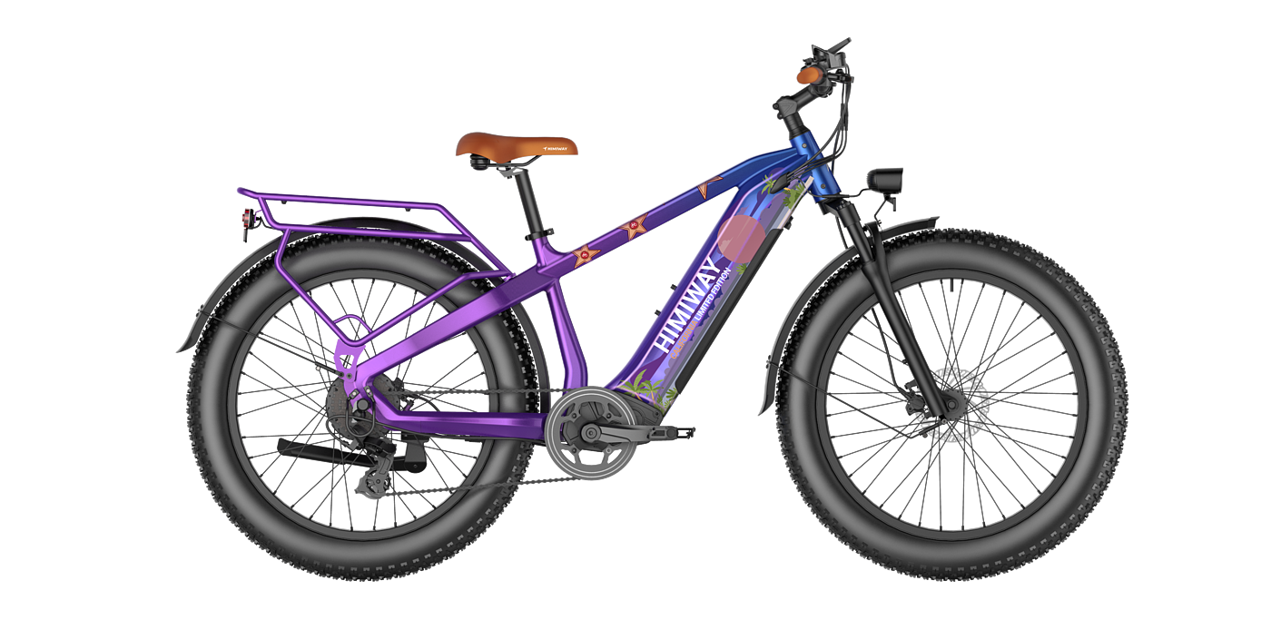 D5 Custom Edition# California Florida Series# Export ebike，