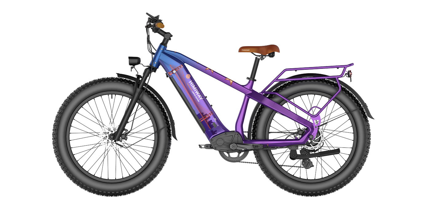 D5 Custom Edition# California Florida Series# Export ebike，