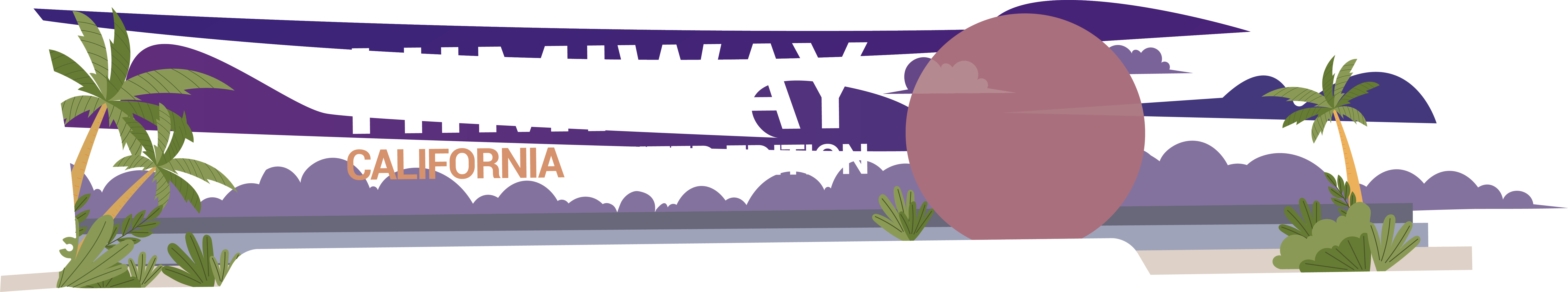 D5 Custom Edition# California Florida Series# Export ebike，