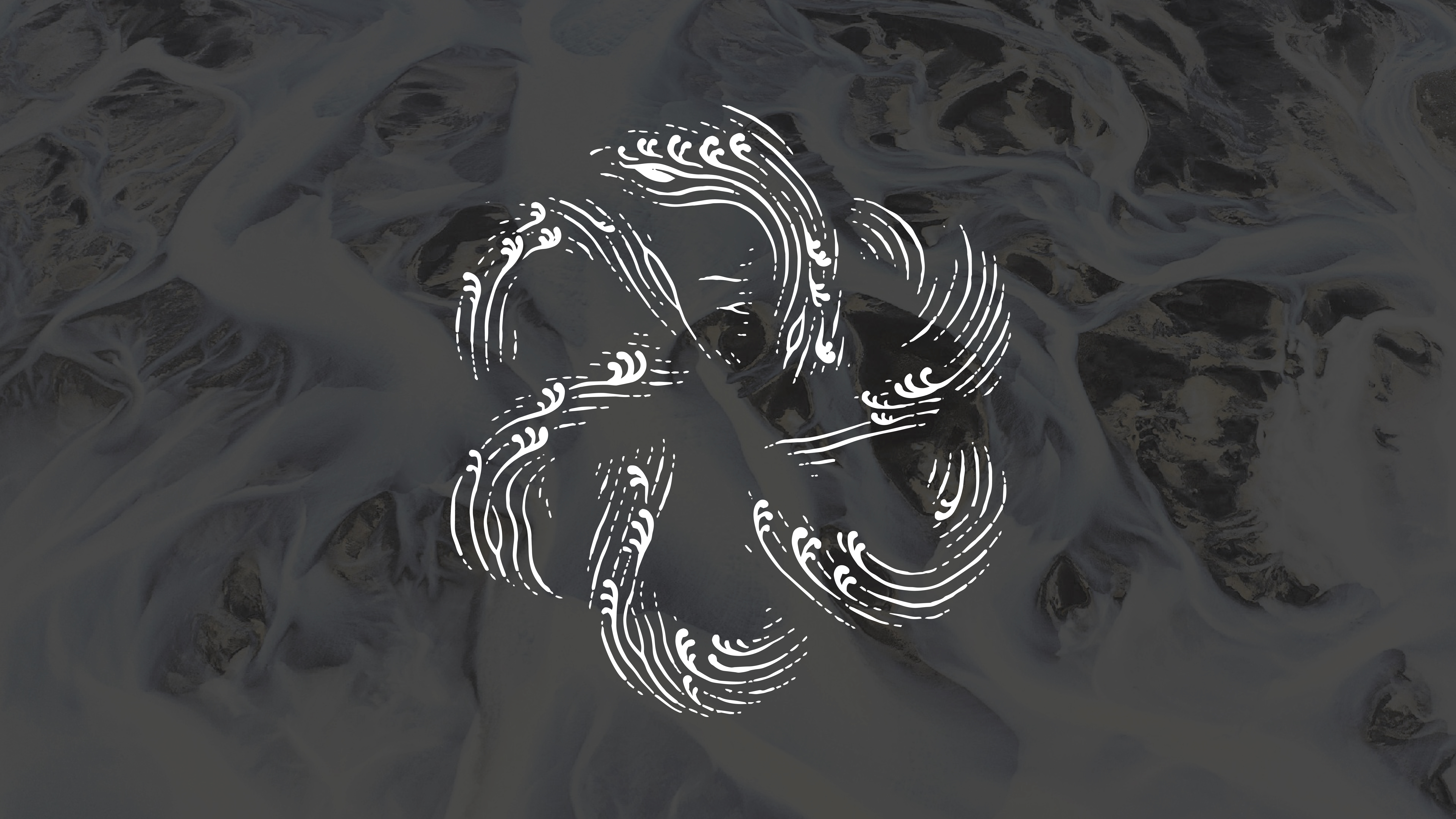 Brand design，Original design，Tea packaging，Container Development，Year of the Snake，Zodiac Tea，Poster Design ，Chinese Knot，