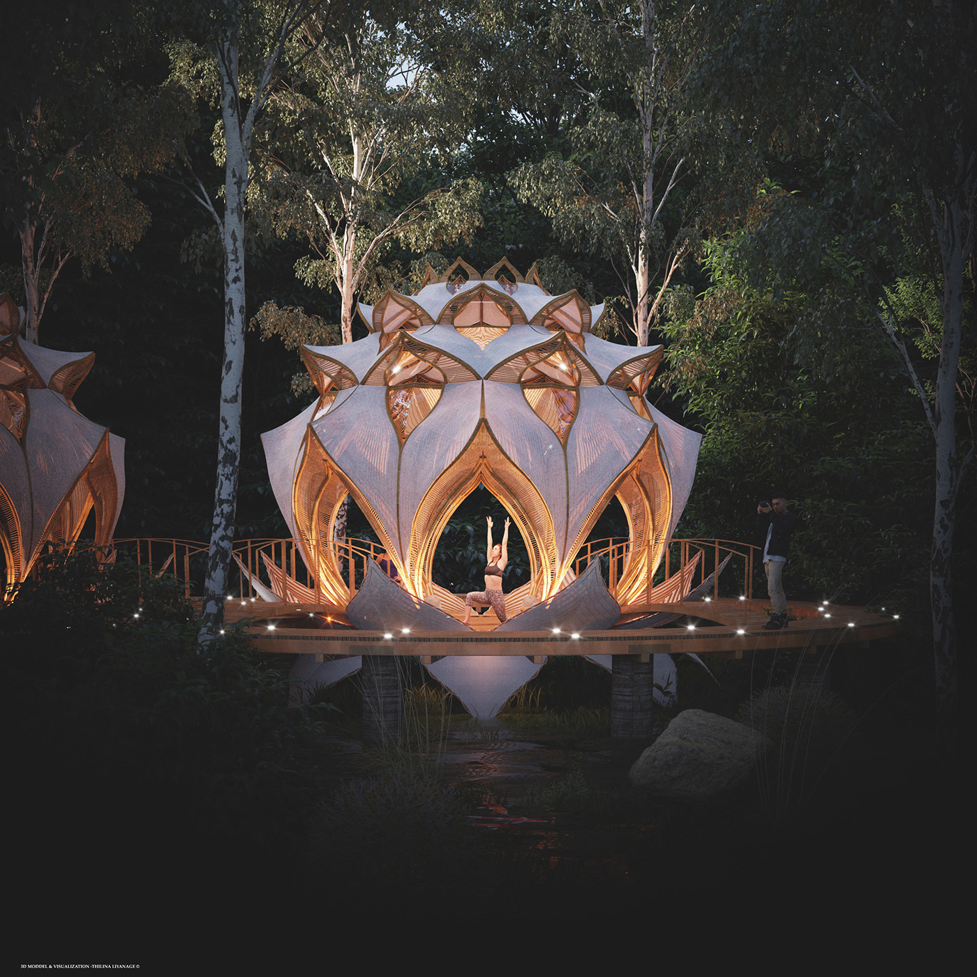 Forst，yoga，Rest place，train，