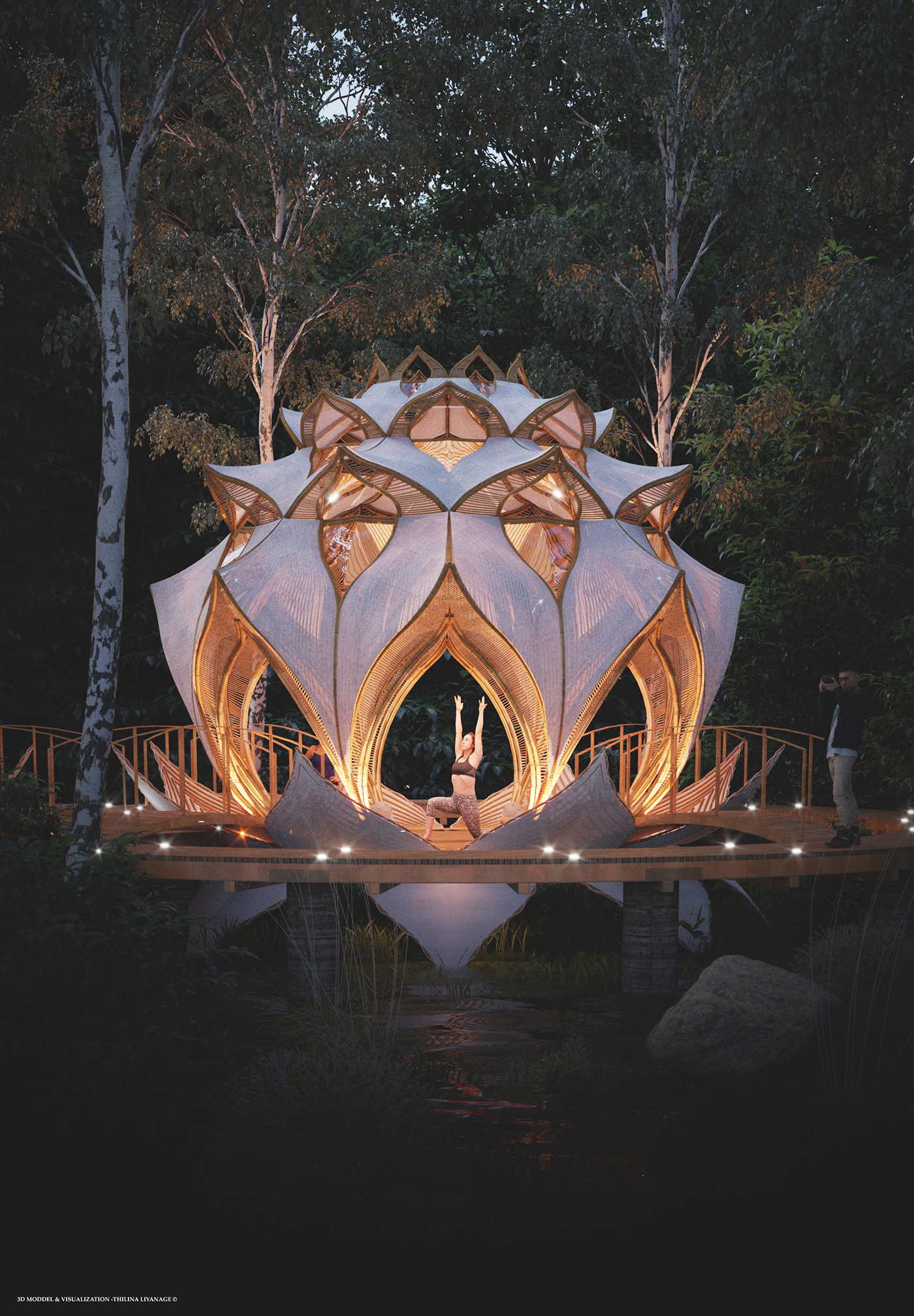 Forst，yoga，Rest place，train，