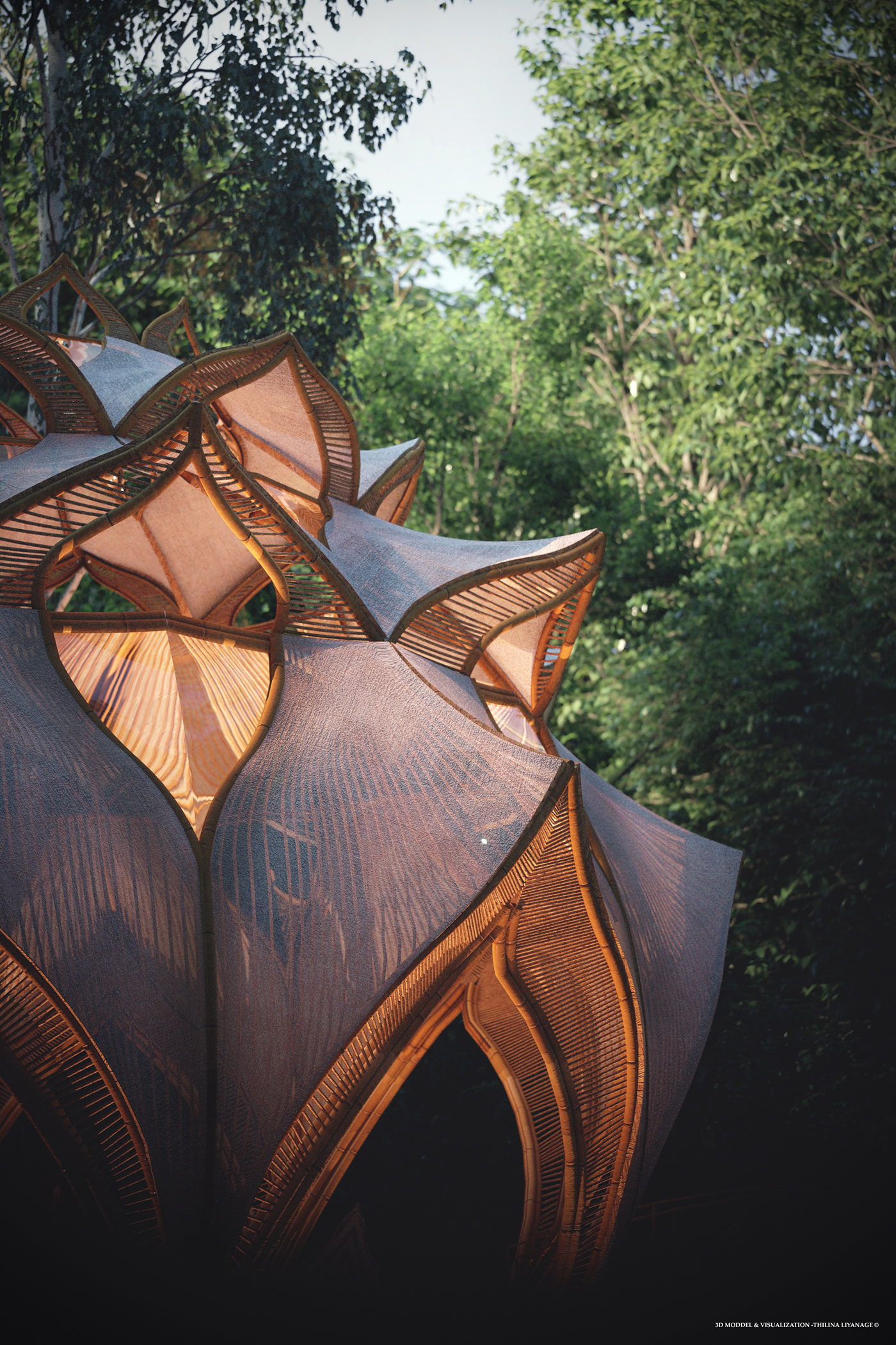 Forst，yoga，Rest place，train，