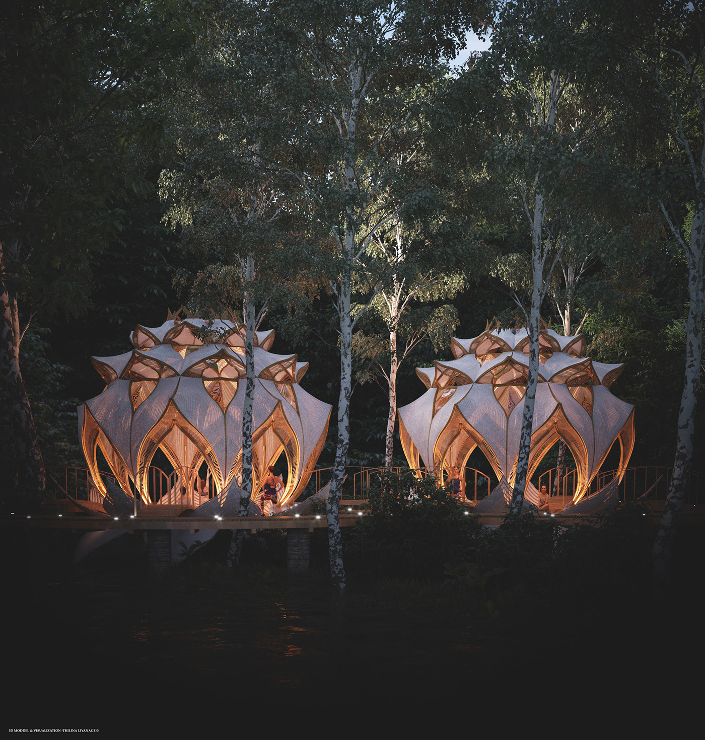 Forst，yoga，Rest place，train，