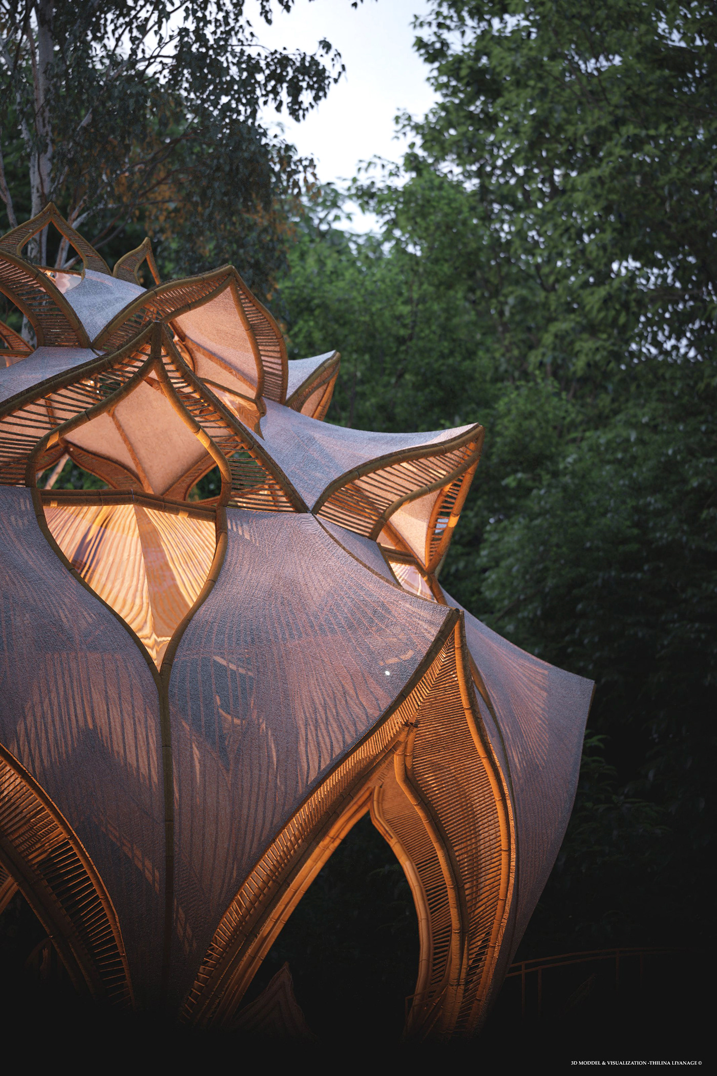 Forst，yoga，Rest place，train，