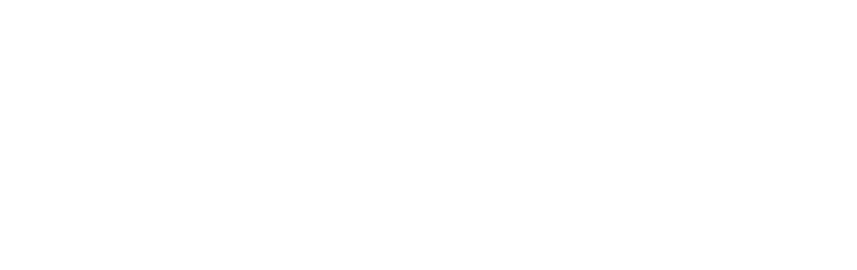 Motorcycle，DACIA，Endurance，Electric assistance，