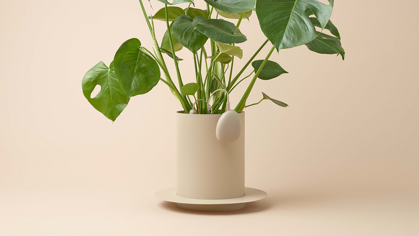 OKO，Soil sensor，Digital，electronic product，