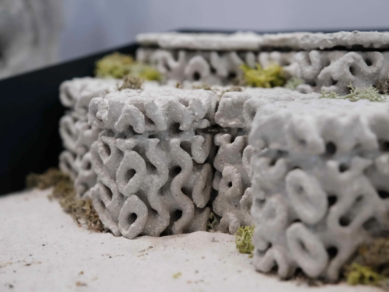 Ecotrapod，texture of material，environment，Material Science，