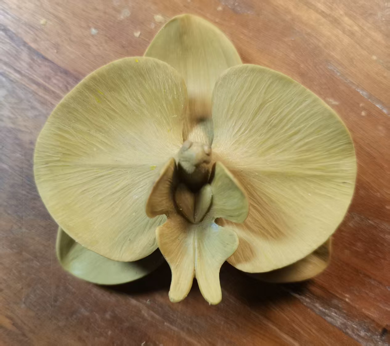 Handmade Phalaenopsis handmade sculpture model，