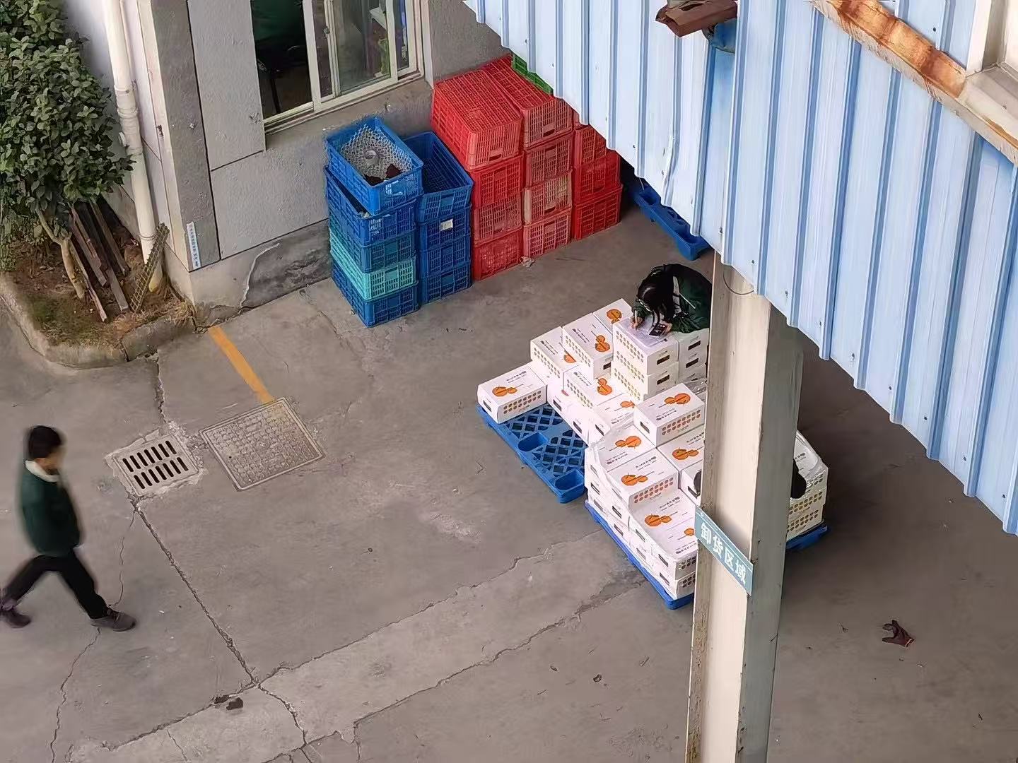 Packaging design, product packaging, rural revitalization，