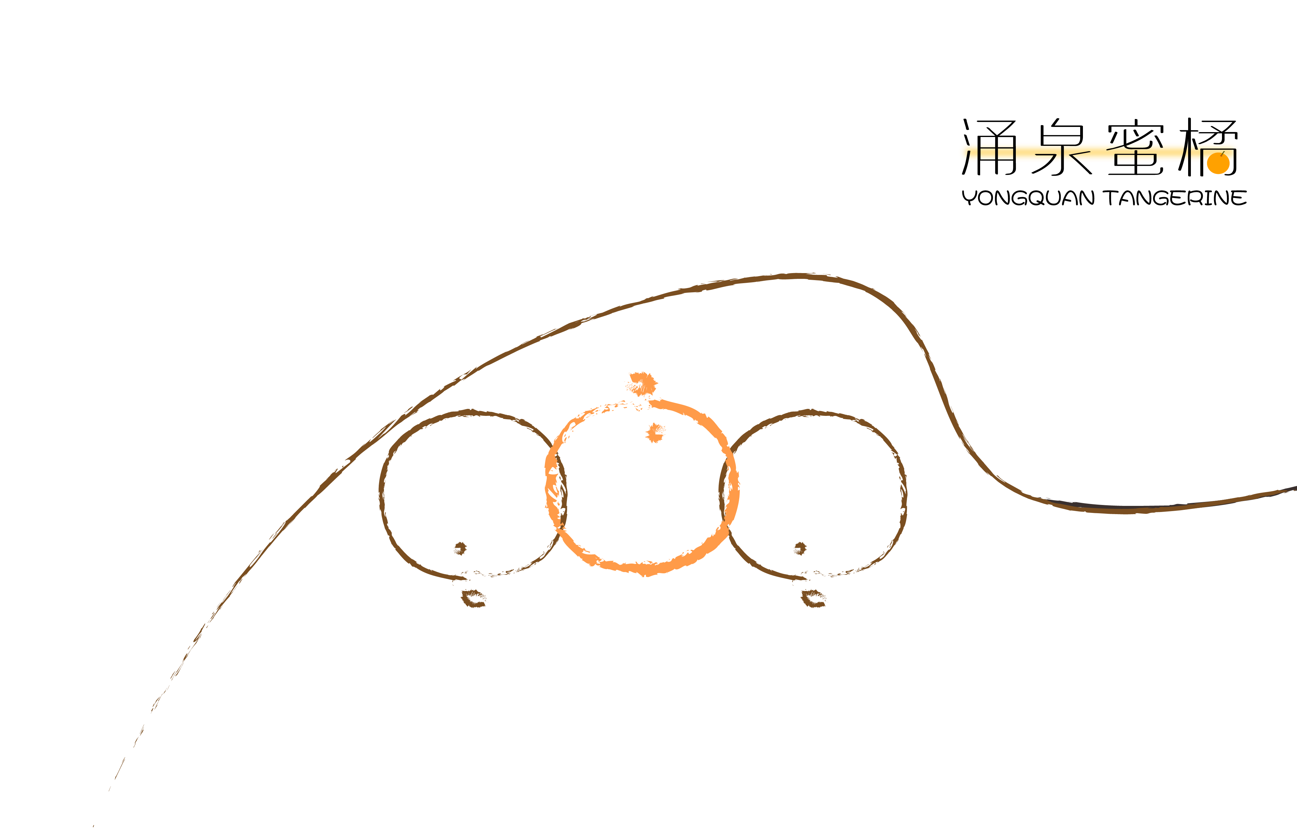 Packaging design, product packaging, rural revitalization，