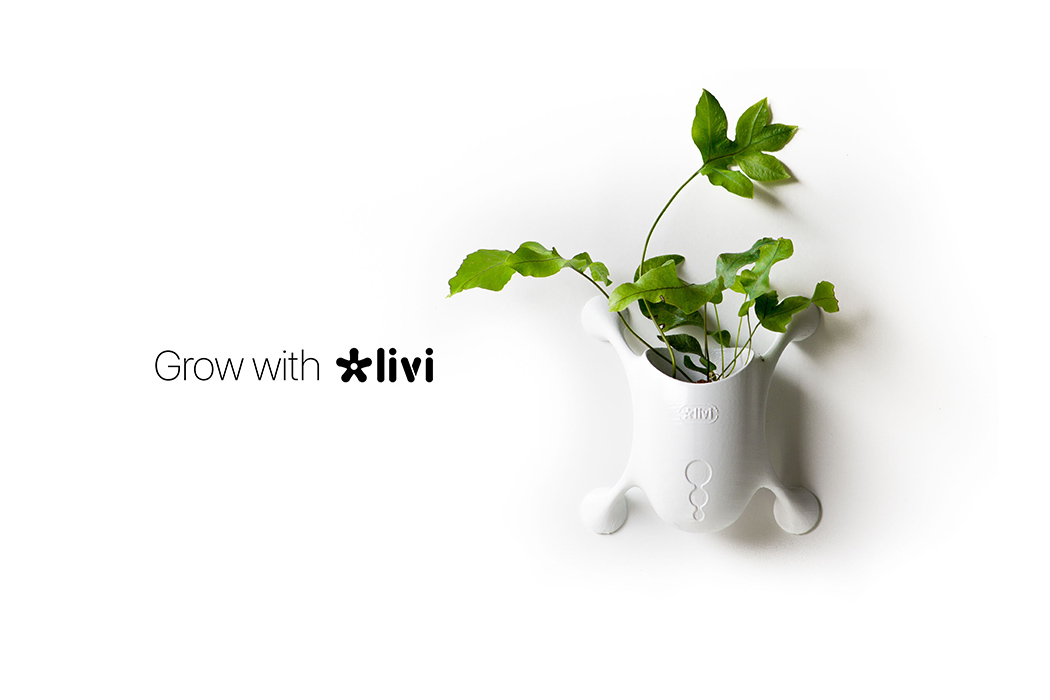 Colour planter，Flowerpot，Portable，originality，product design，