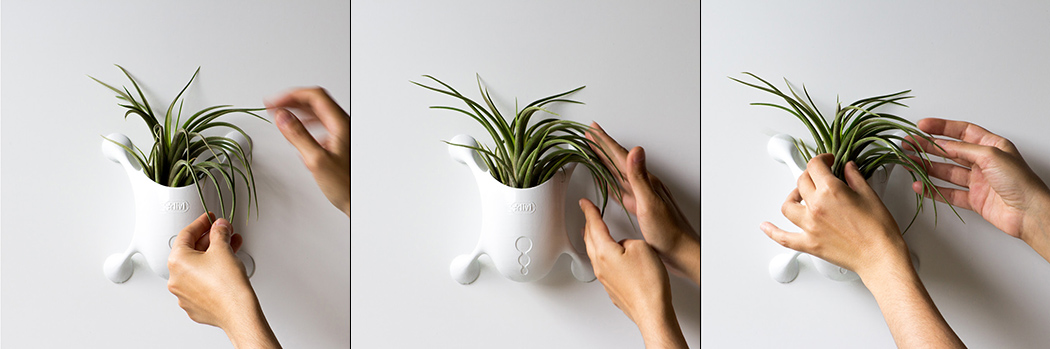 Colour planter，Flowerpot，Portable，originality，product design，