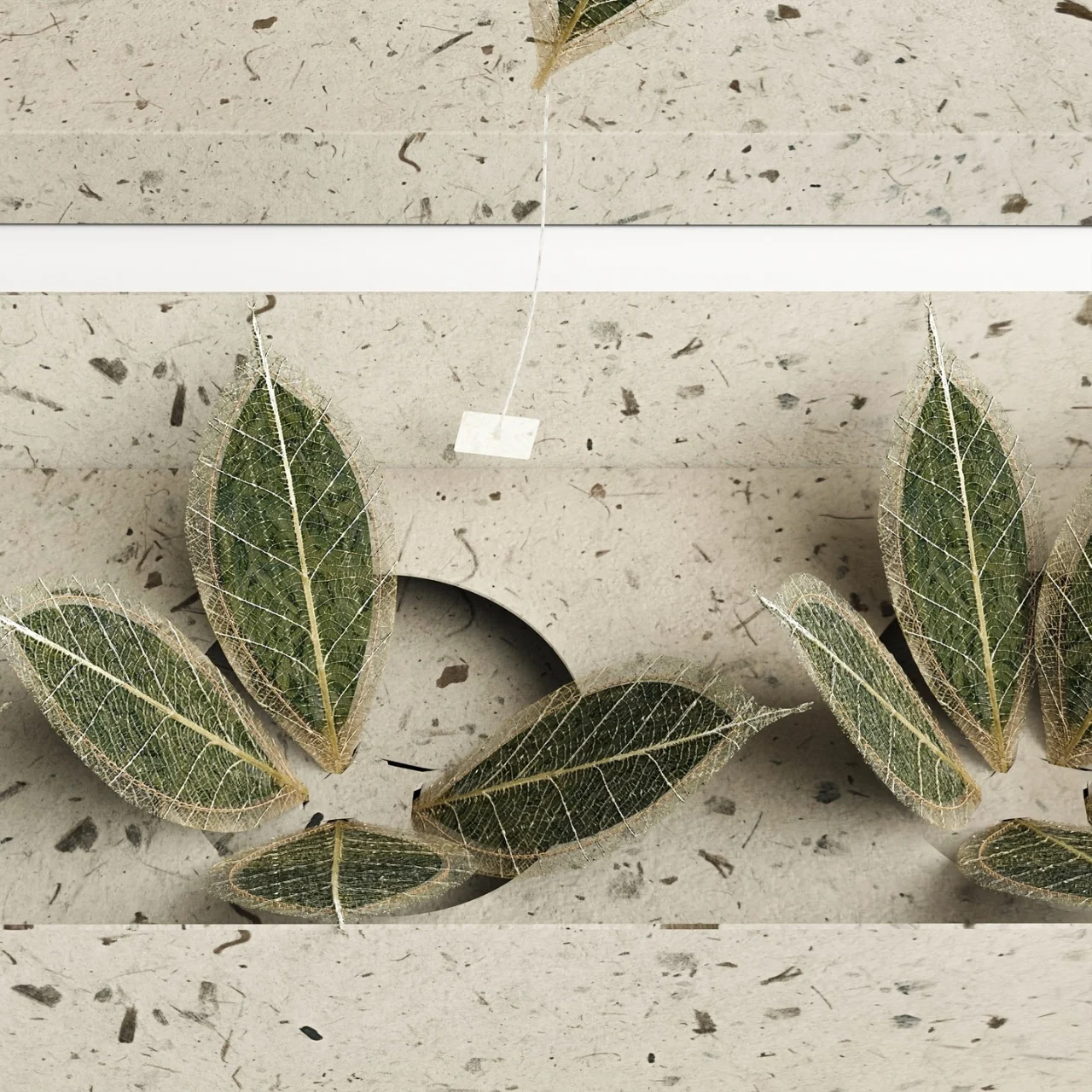 Leaf Vein Tea，packing，biodegradable，environment protection，