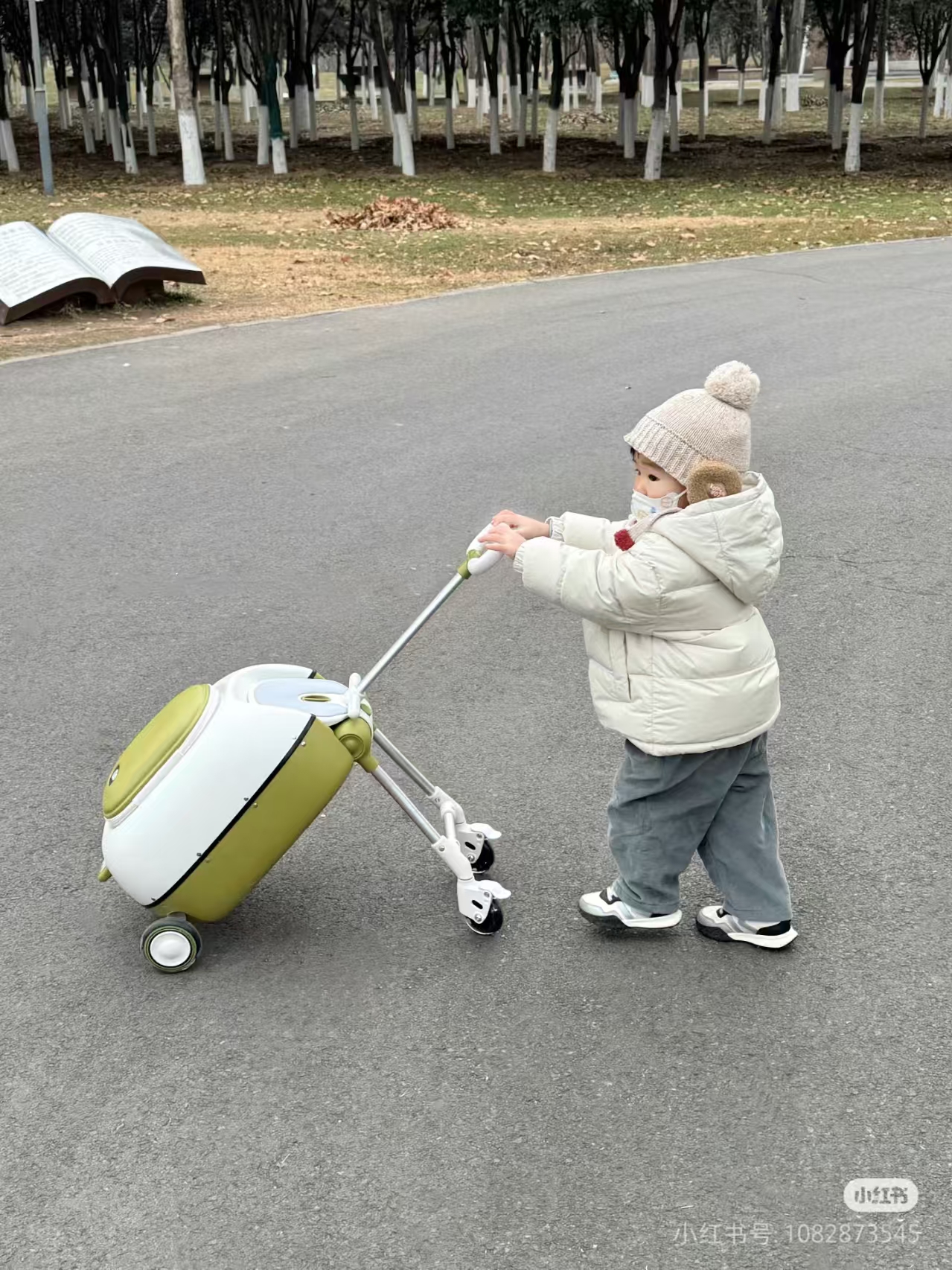 Magic egg luggage cart，